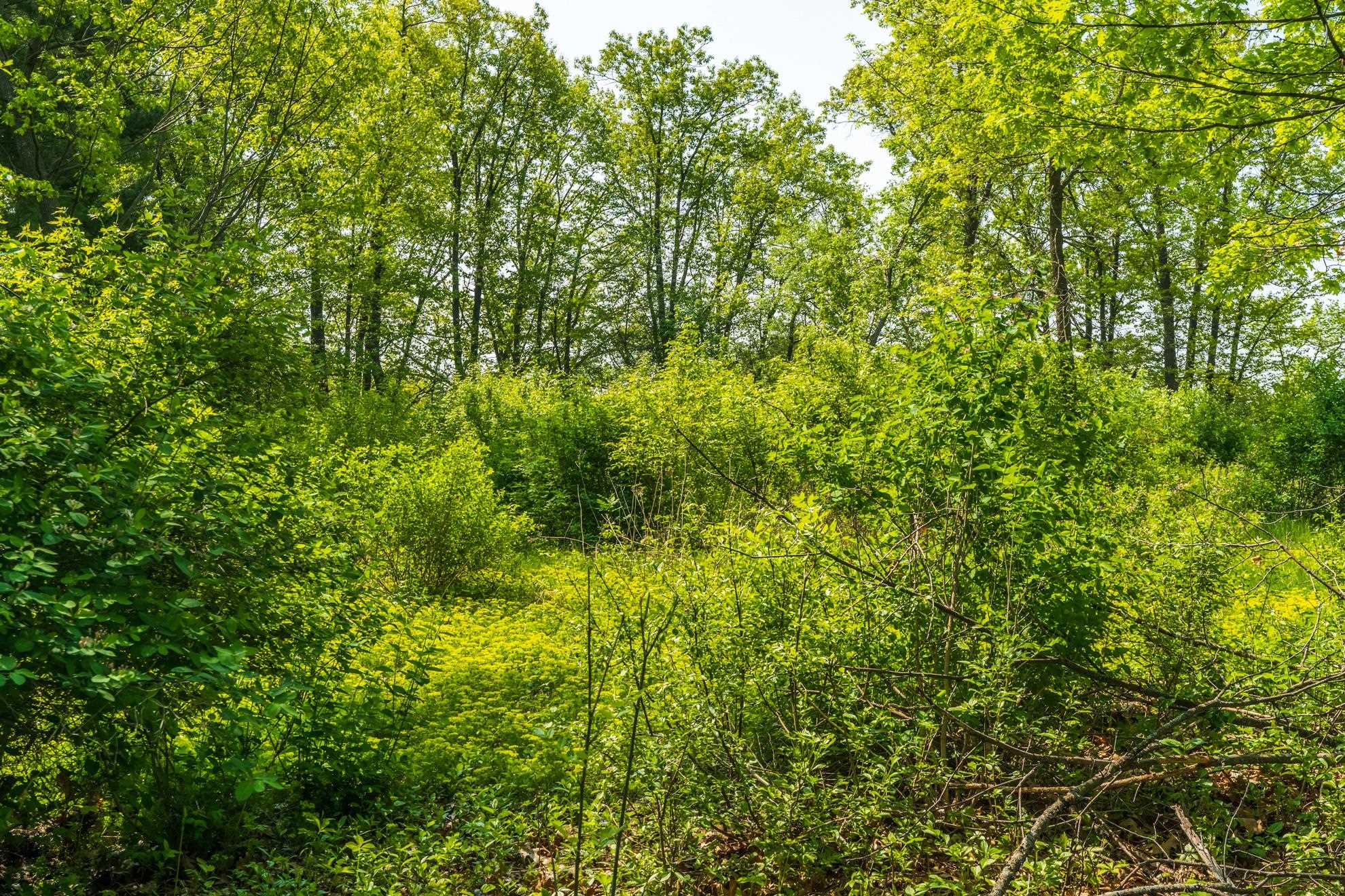 1601 CHELLIS STREET, Wausau, Wisconsin 54401, ,Land,For Sale,1601 CHELLIS STREET,22234535