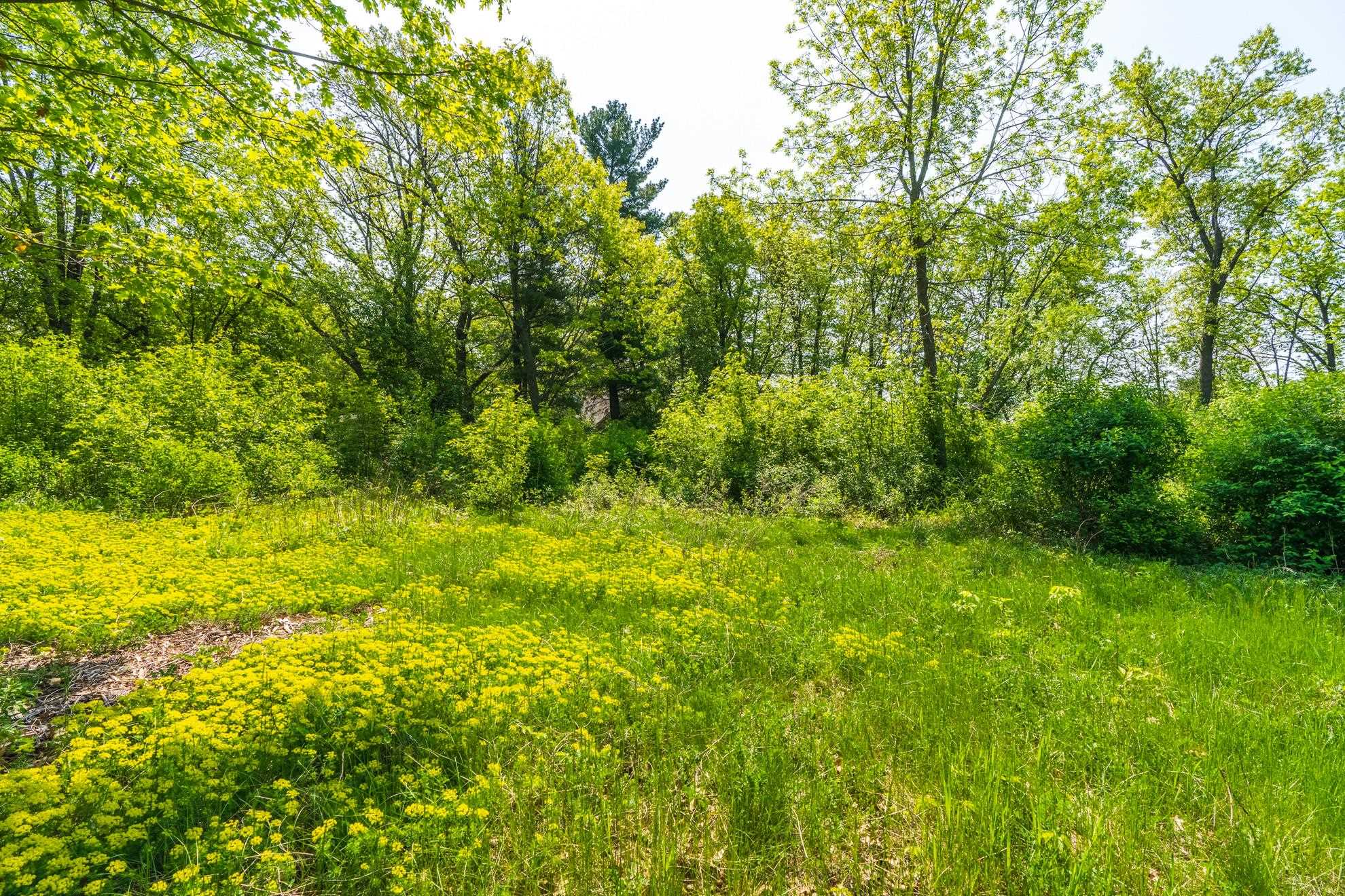 1601 CHELLIS STREET, Wausau, Wisconsin 54401, ,Land,For Sale,1601 CHELLIS STREET,22234535