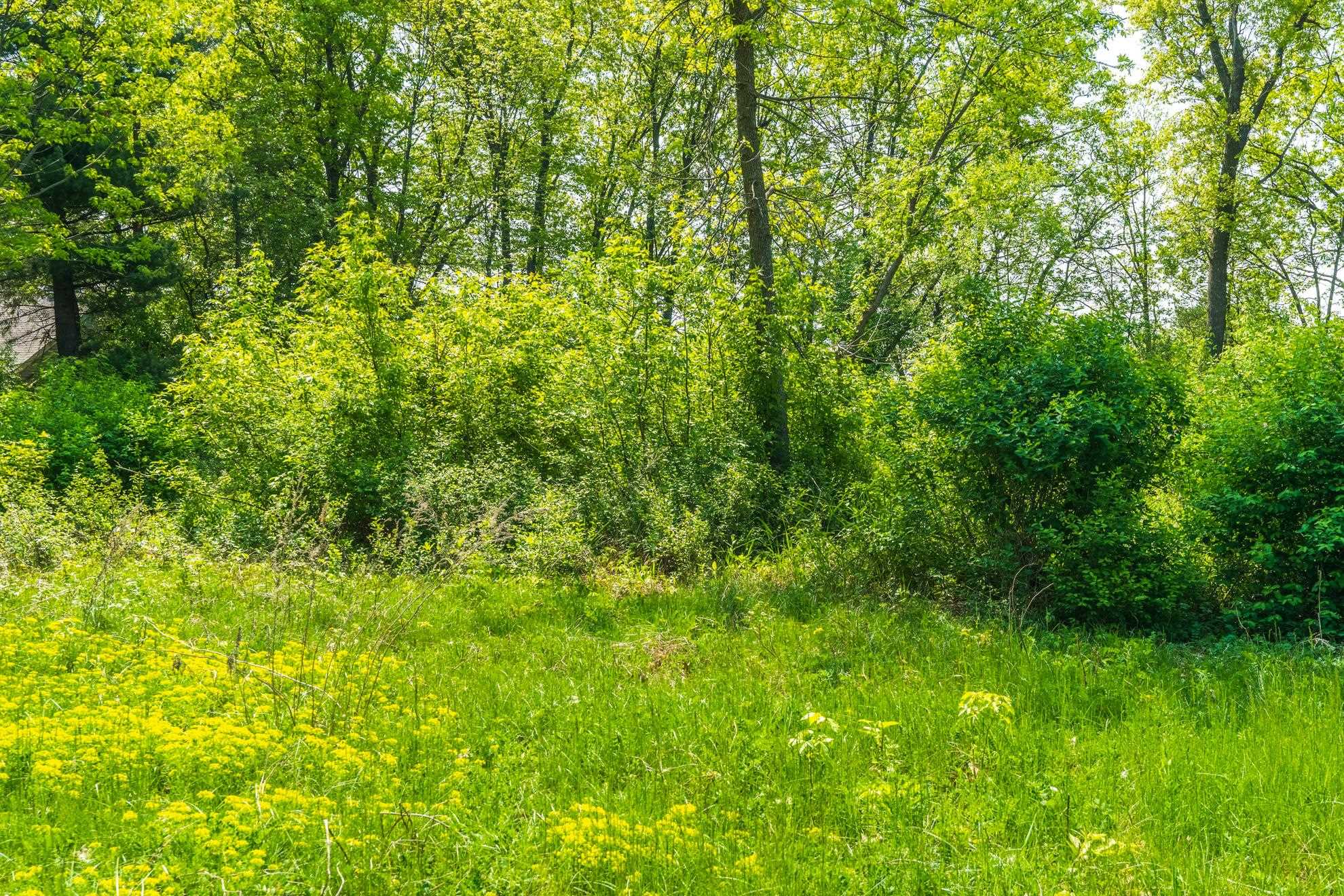 1601 CHELLIS STREET, Wausau, Wisconsin 54401, ,Land,For Sale,1601 CHELLIS STREET,22234535