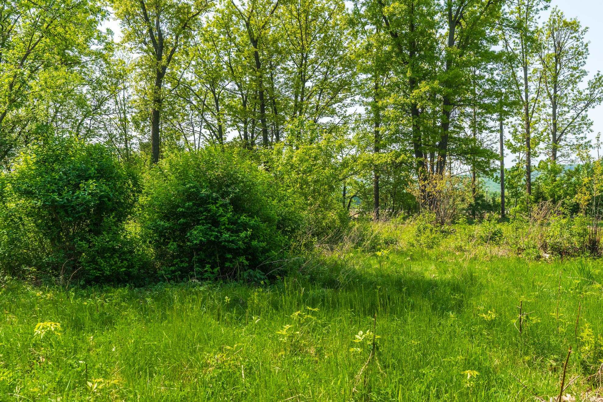 1601 CHELLIS STREET, Wausau, Wisconsin 54401, ,Land,For Sale,1601 CHELLIS STREET,22234535