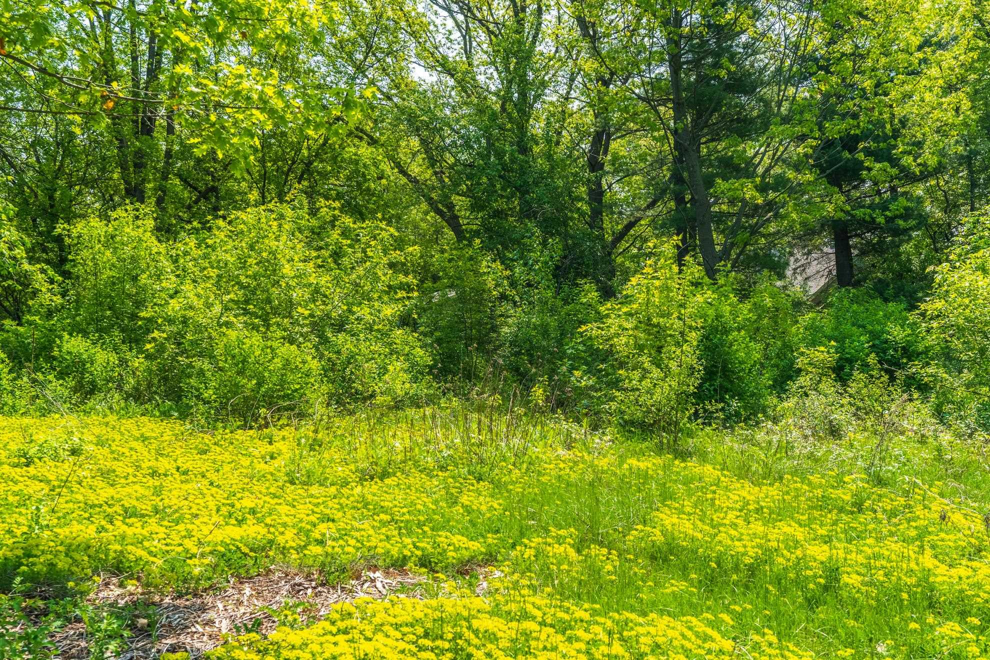 1601 CHELLIS STREET, Wausau, Wisconsin 54401, ,Land,For Sale,1601 CHELLIS STREET,22234535