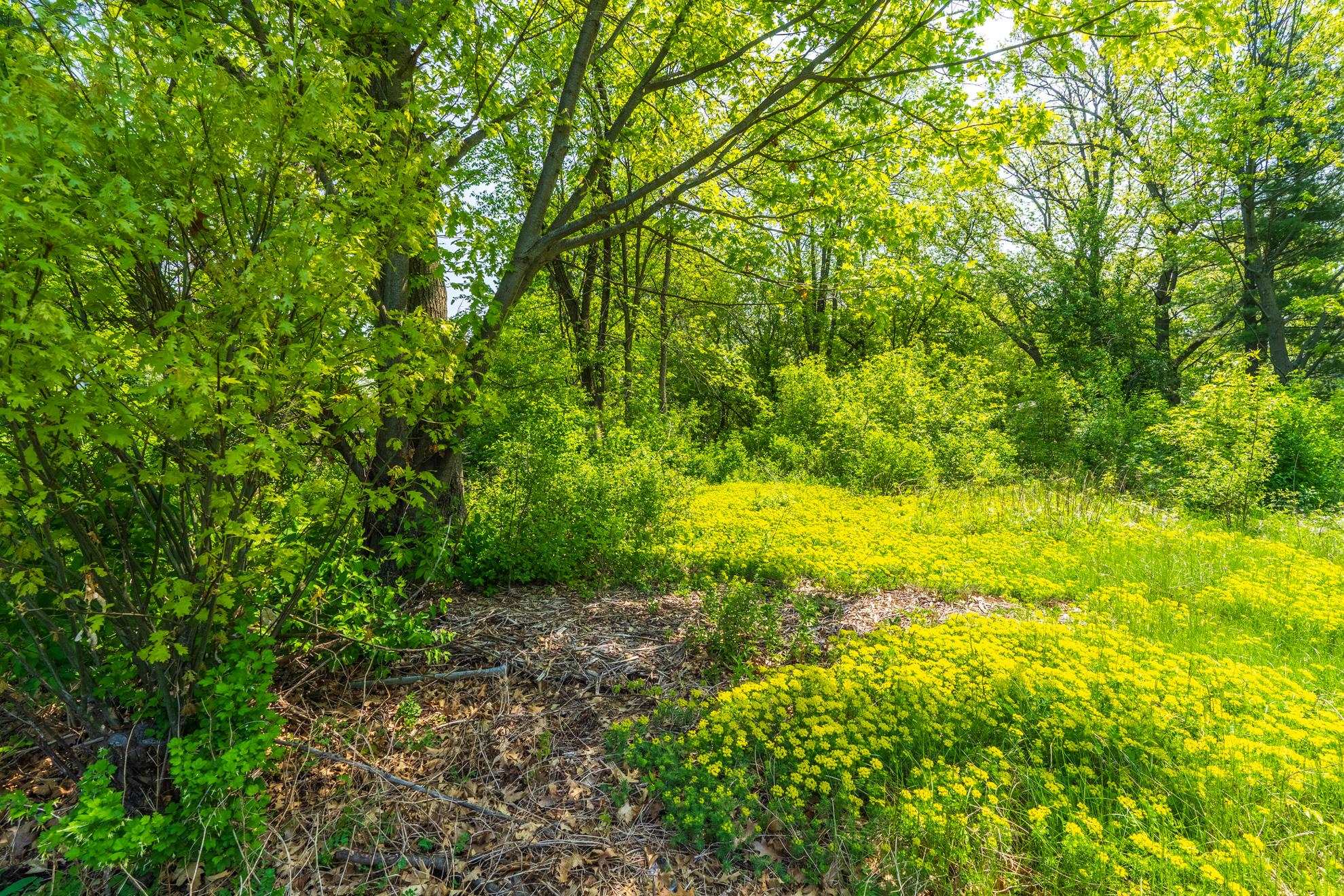 1601 CHELLIS STREET, Wausau, Wisconsin 54401, ,Land,For Sale,1601 CHELLIS STREET,22234535