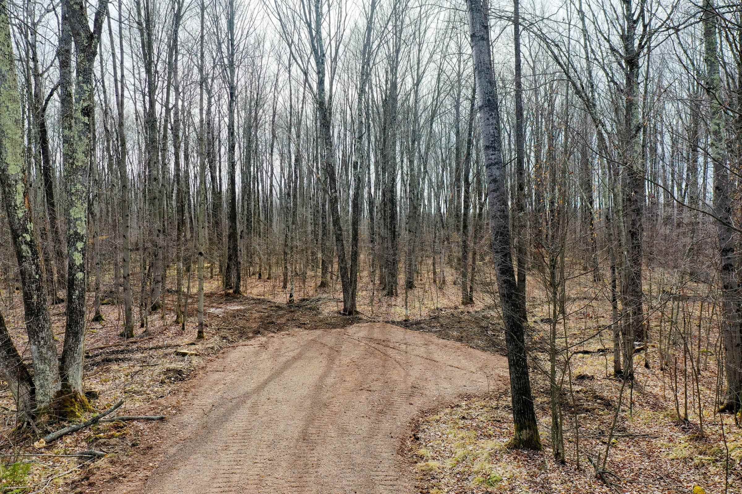 4.70 Acres US HIGHWAY 8, Prentice, Wisconsin 54556, ,Land,For Sale,4.70 Acres US HIGHWAY 8,22235551