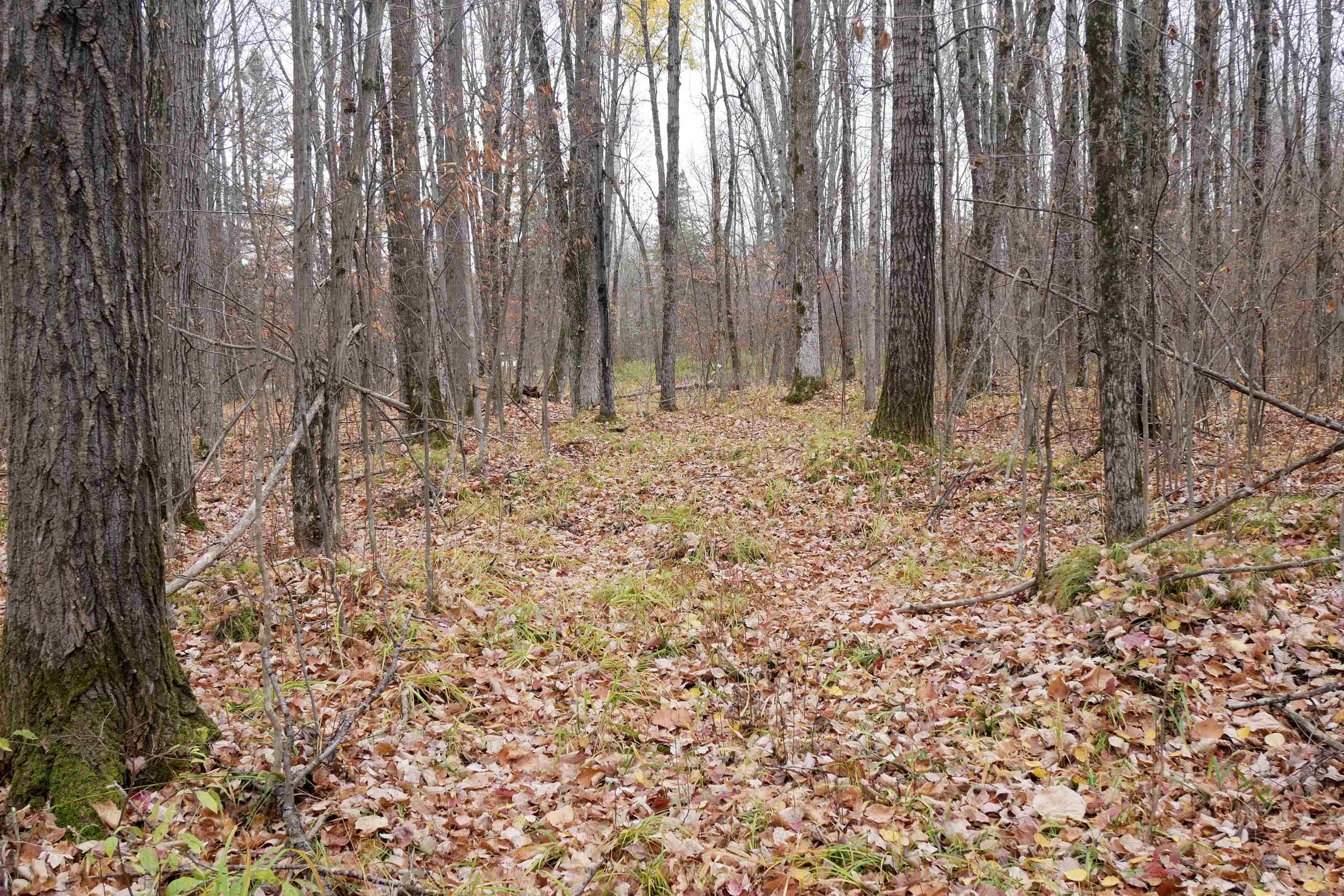 4.70 Acres US HIGHWAY 8, Prentice, Wisconsin 54556, ,Land,For Sale,4.70 Acres US HIGHWAY 8,22235551