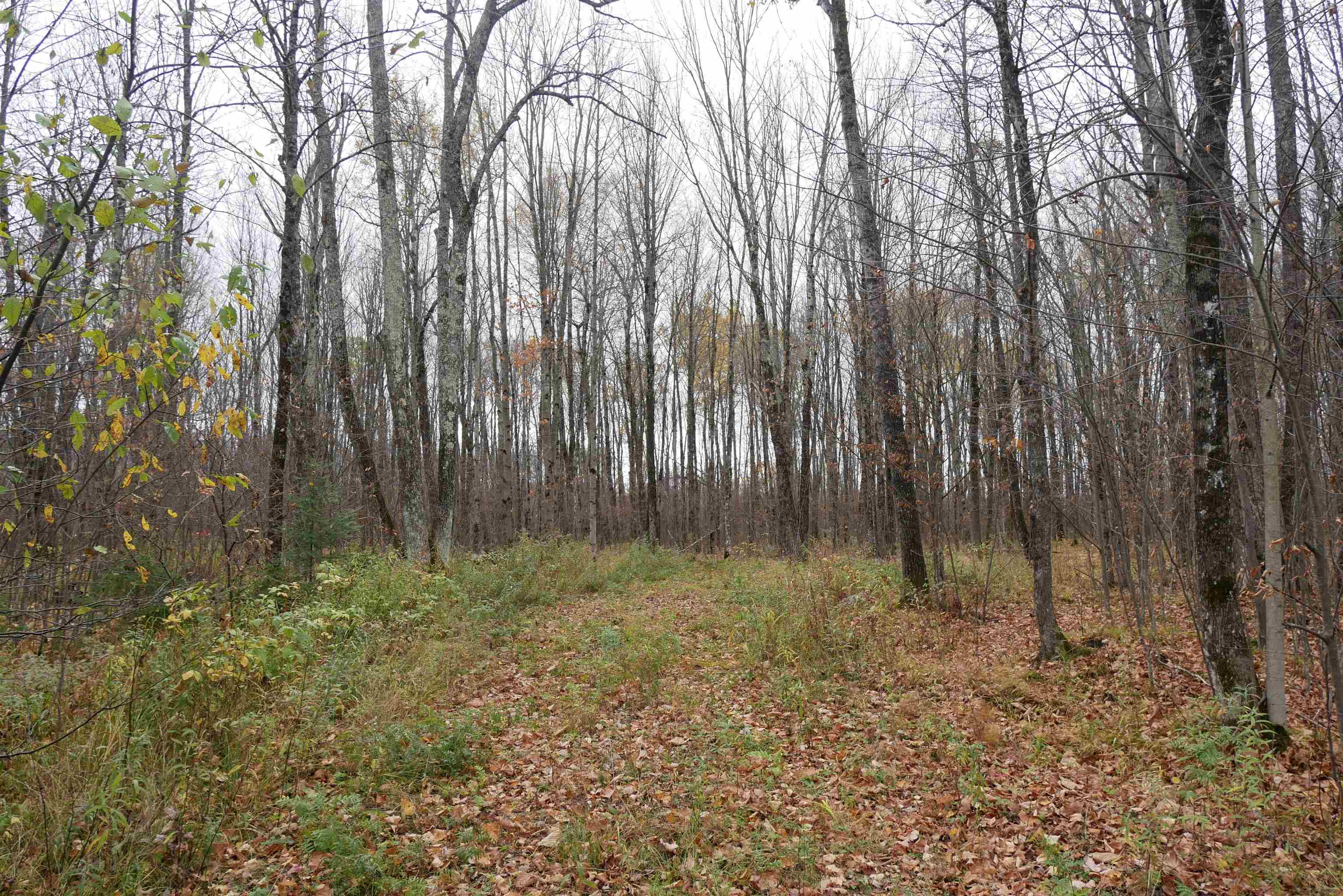4.70 Acres US HIGHWAY 8, Prentice, Wisconsin 54556, ,Land,For Sale,4.70 Acres US HIGHWAY 8,22235551