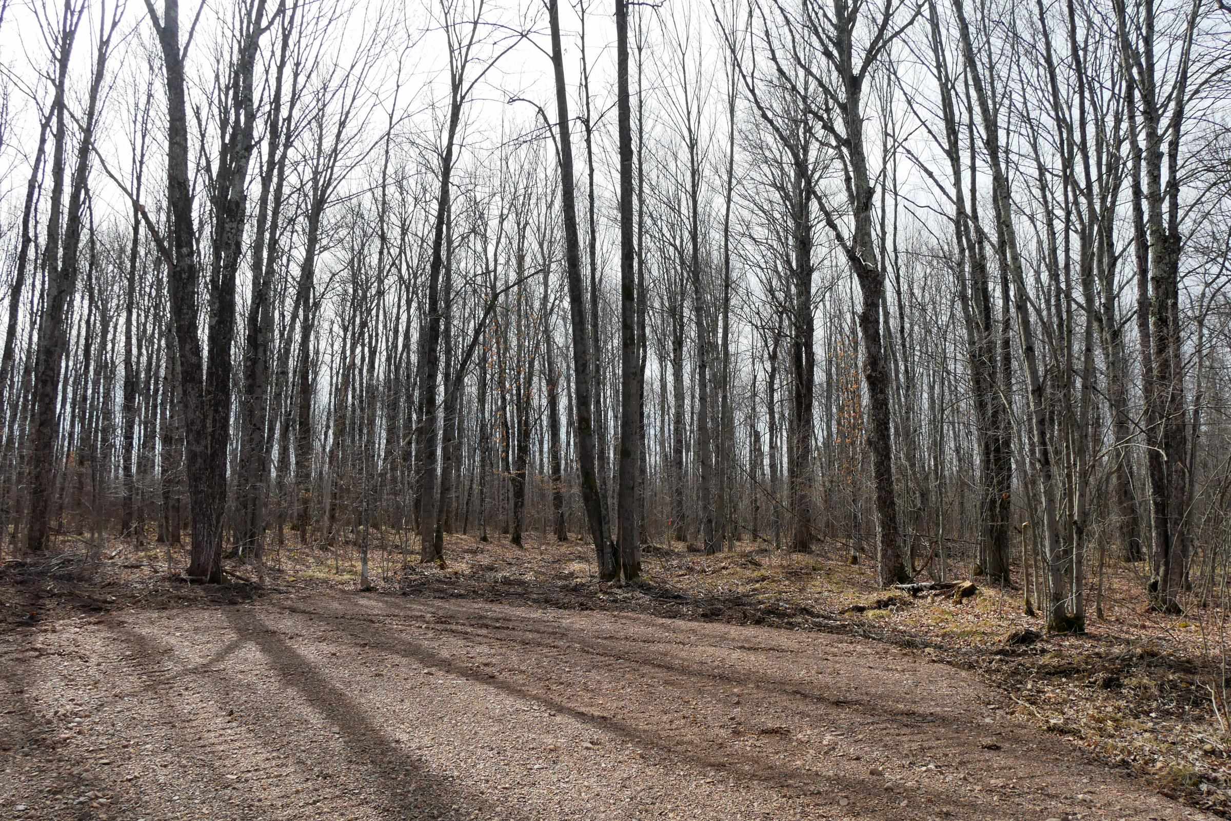 4.70 Acres US HIGHWAY 8, Prentice, Wisconsin 54556, ,Land,For Sale,4.70 Acres US HIGHWAY 8,22235551