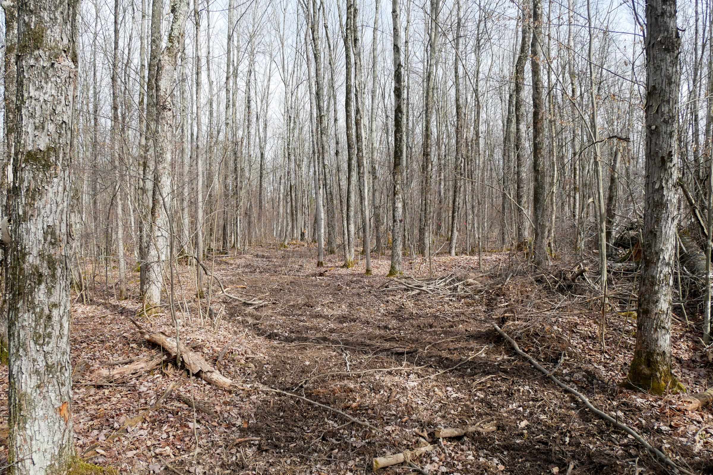 4.70 Acres US HIGHWAY 8, Prentice, Wisconsin 54556, ,Land,For Sale,4.70 Acres US HIGHWAY 8,22235551