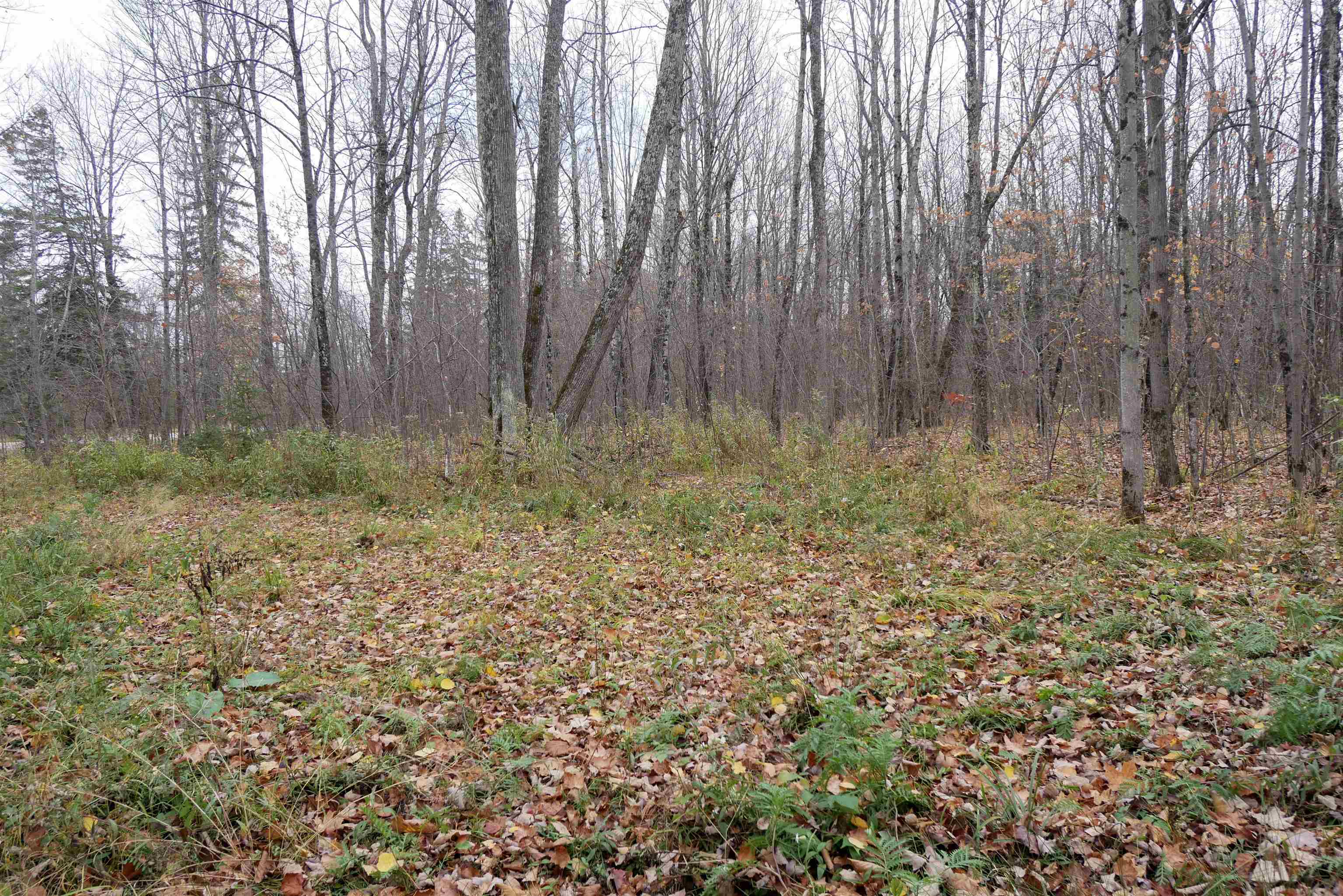 4.70 Acres US HIGHWAY 8, Prentice, Wisconsin 54556, ,Land,For Sale,4.70 Acres US HIGHWAY 8,22235551