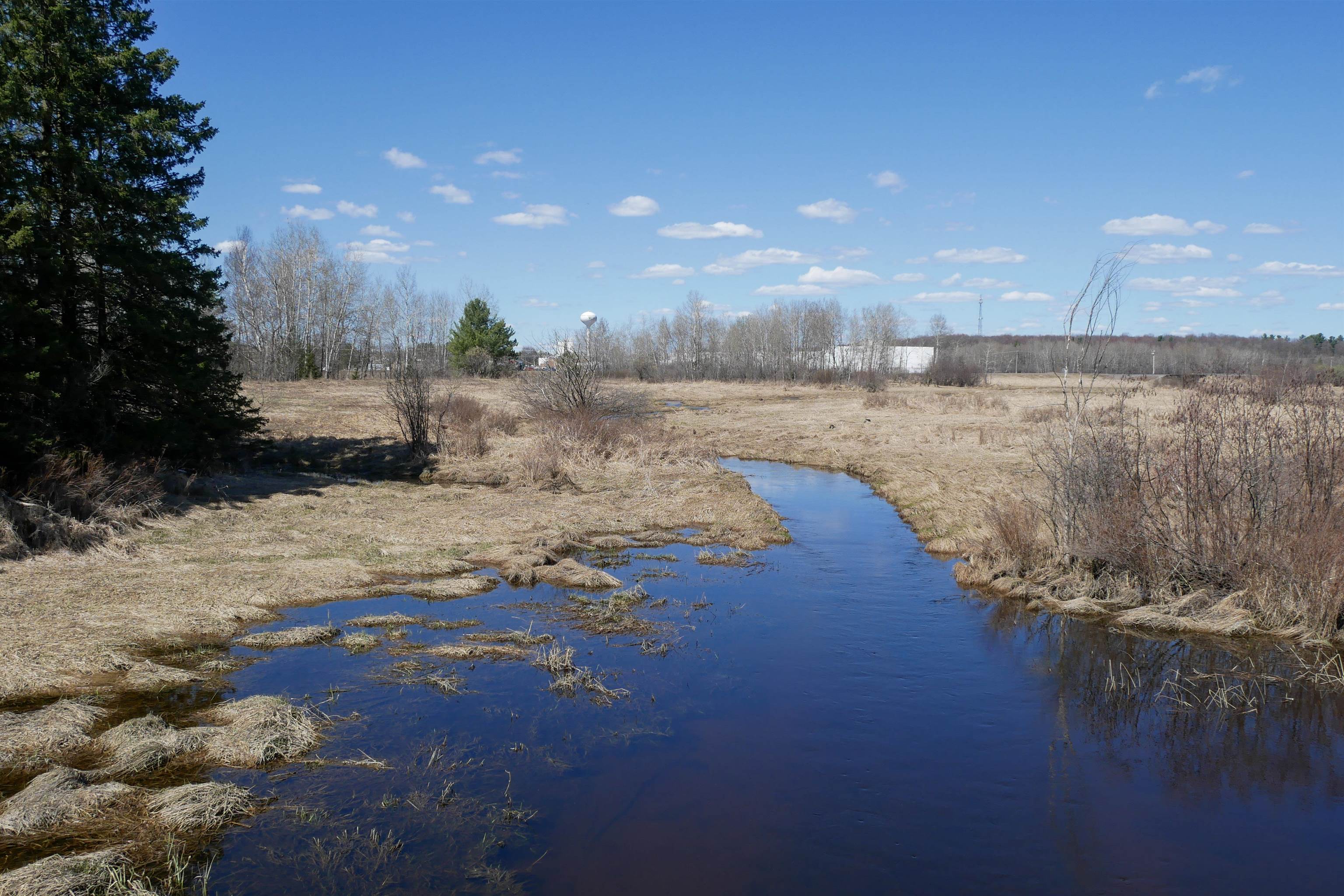 +/- 56.37 Acres COUNTY ROAD O, Medford, Wisconsin 54451, ,Land,For Sale,+/- 56.37 Acres COUNTY ROAD O,22400423