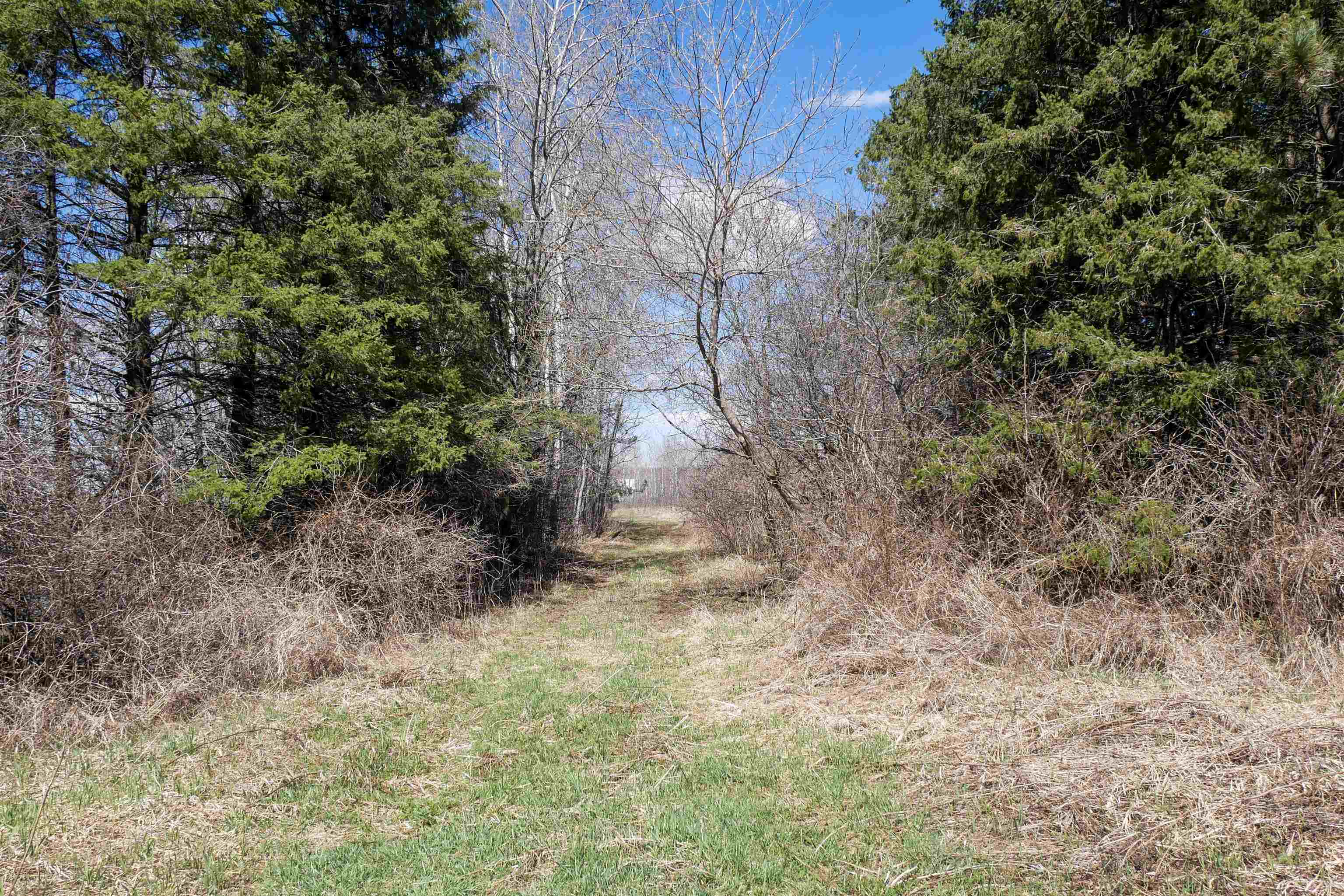 +/- 56.37 Acres COUNTY ROAD O, Medford, Wisconsin 54451, ,Land,For Sale,+/- 56.37 Acres COUNTY ROAD O,22400423