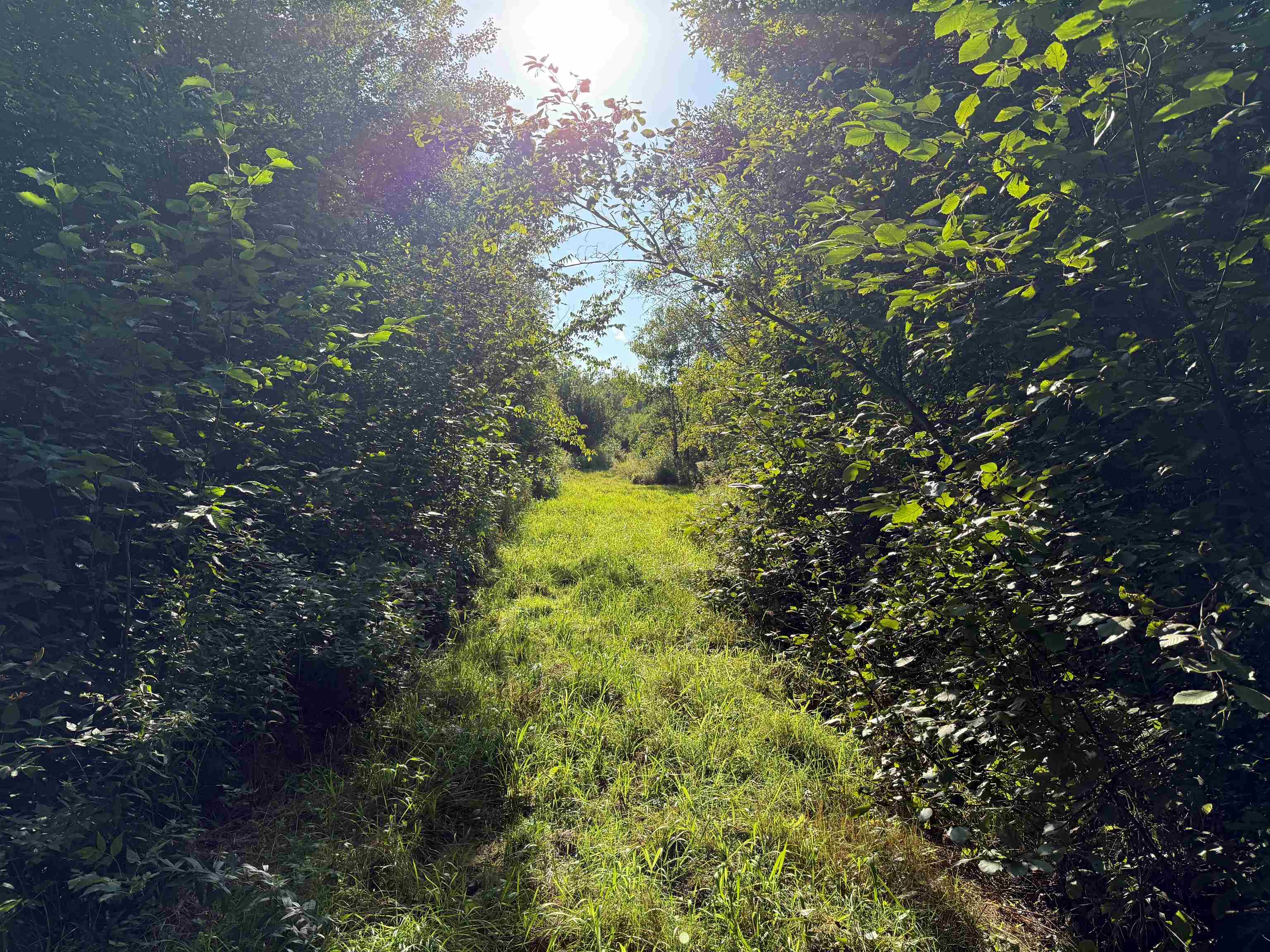 11013 W BURR OAK ROAD, Kennan, Wisconsin 54537, ,Land,For Sale,11013 W BURR OAK ROAD,22401503