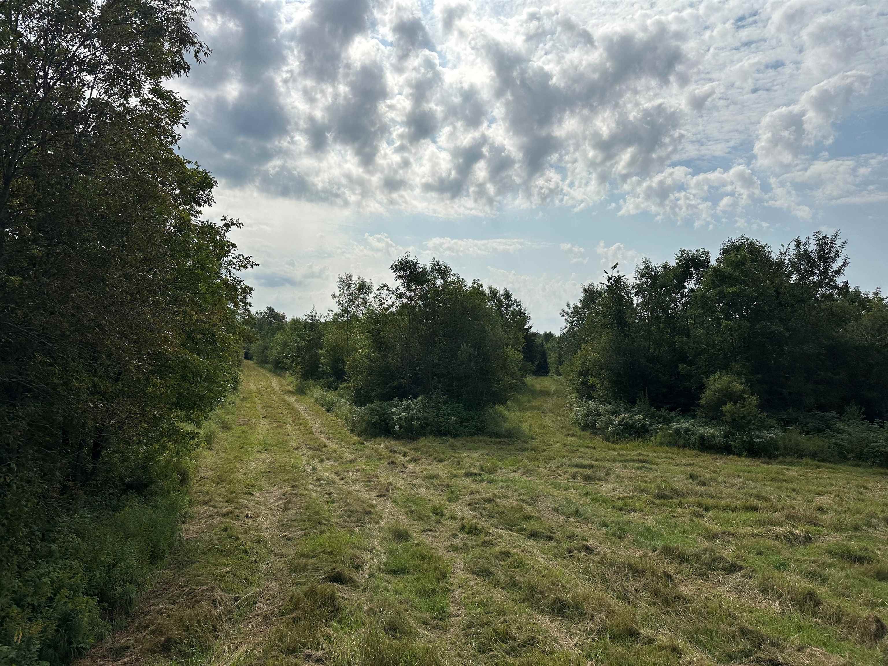 11013 W BURR OAK ROAD, Kennan, Wisconsin 54537, ,Land,For Sale,11013 W BURR OAK ROAD,22401503