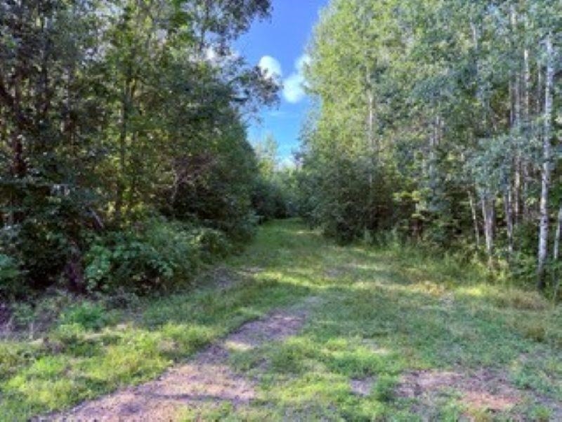 11013 W BURR OAK ROAD, Kennan, Wisconsin 54537, ,Land,For Sale,11013 W BURR OAK ROAD,22401503