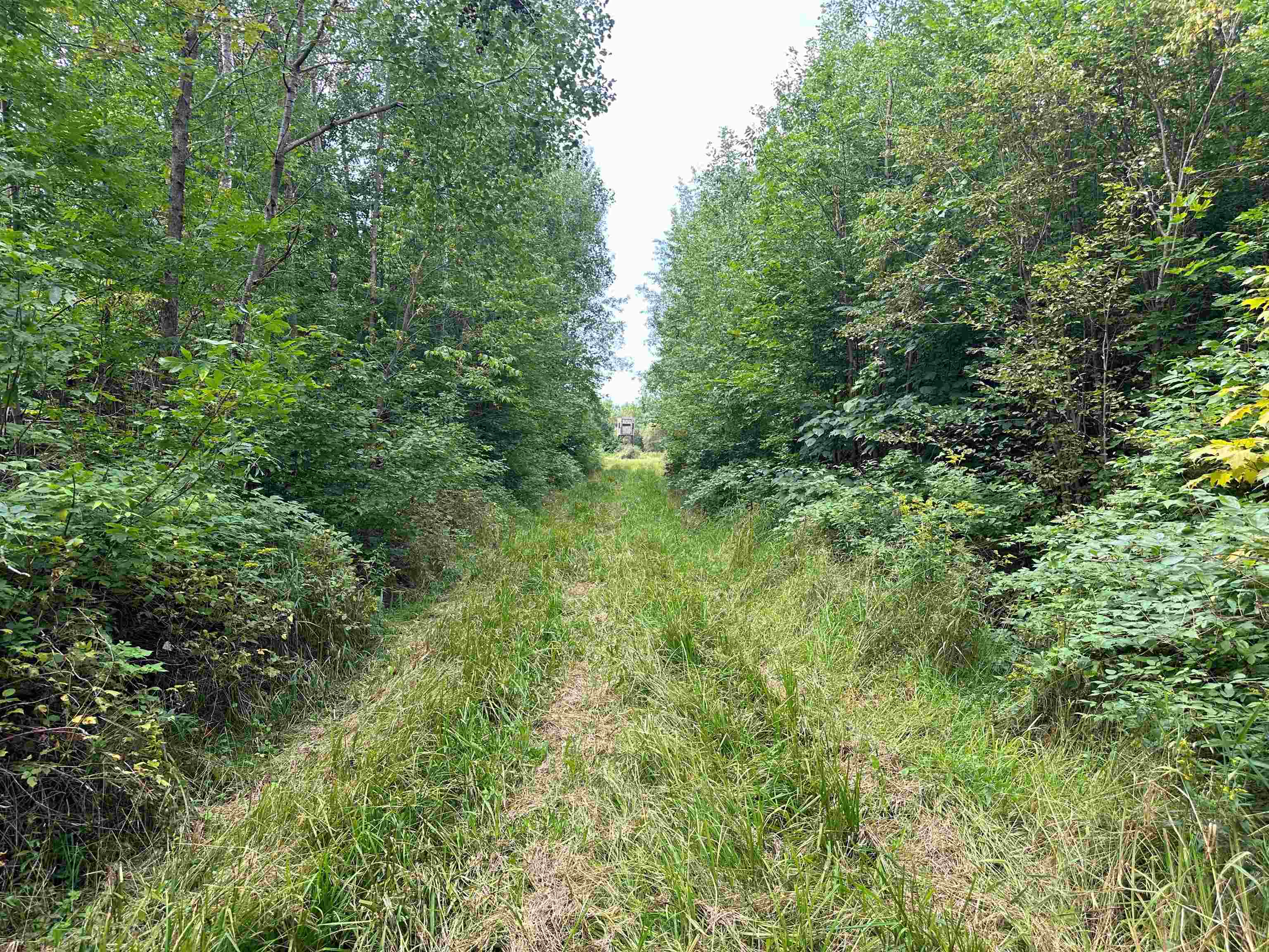 11013 W BURR OAK ROAD, Kennan, Wisconsin 54537, ,Land,For Sale,11013 W BURR OAK ROAD,22401503