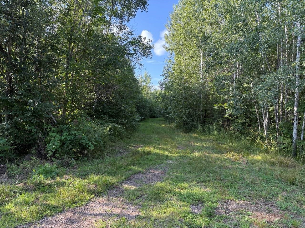 11013 W BURR OAK ROAD, Kennan, Wisconsin 54537, ,Land,For Sale,11013 W BURR OAK ROAD,22401503