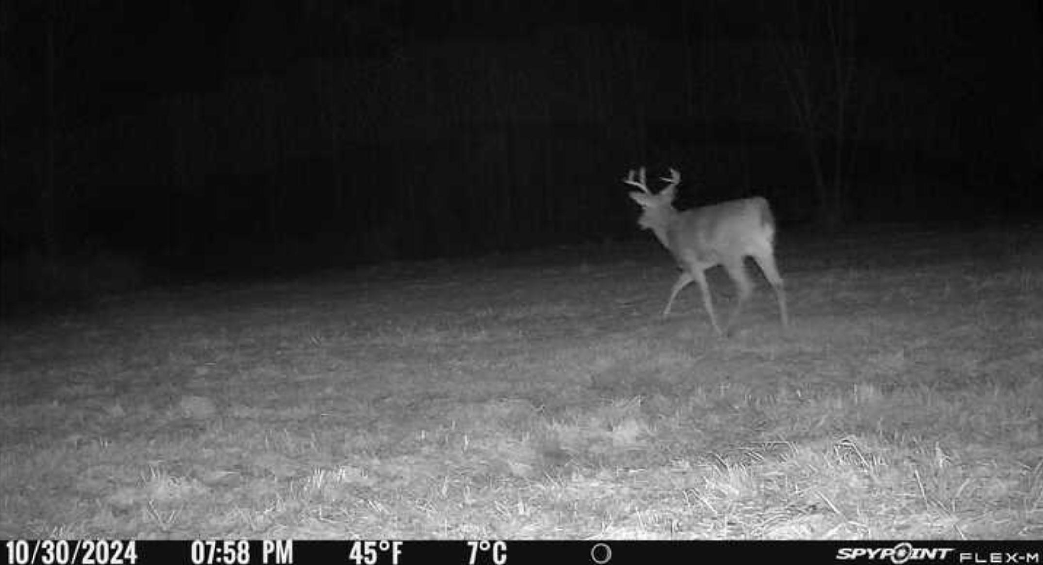 11013 W BURR OAK ROAD, Kennan, Wisconsin 54537, ,Land,For Sale,11013 W BURR OAK ROAD,22401503