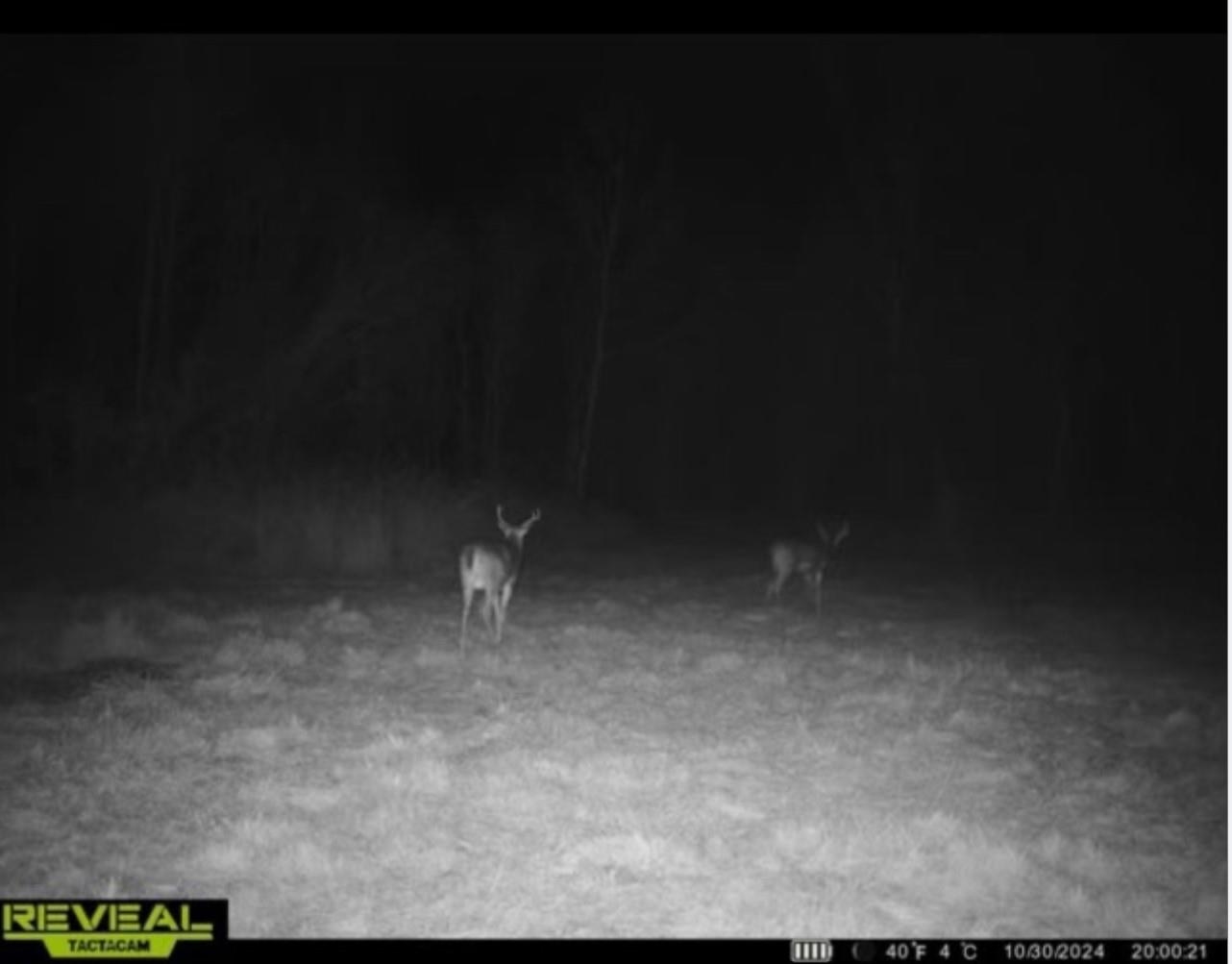 11013 W BURR OAK ROAD, Kennan, Wisconsin 54537, ,Land,For Sale,11013 W BURR OAK ROAD,22401503