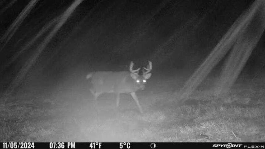 11013 W BURR OAK ROAD, Kennan, Wisconsin 54537, ,Land,For Sale,11013 W BURR OAK ROAD,22401503