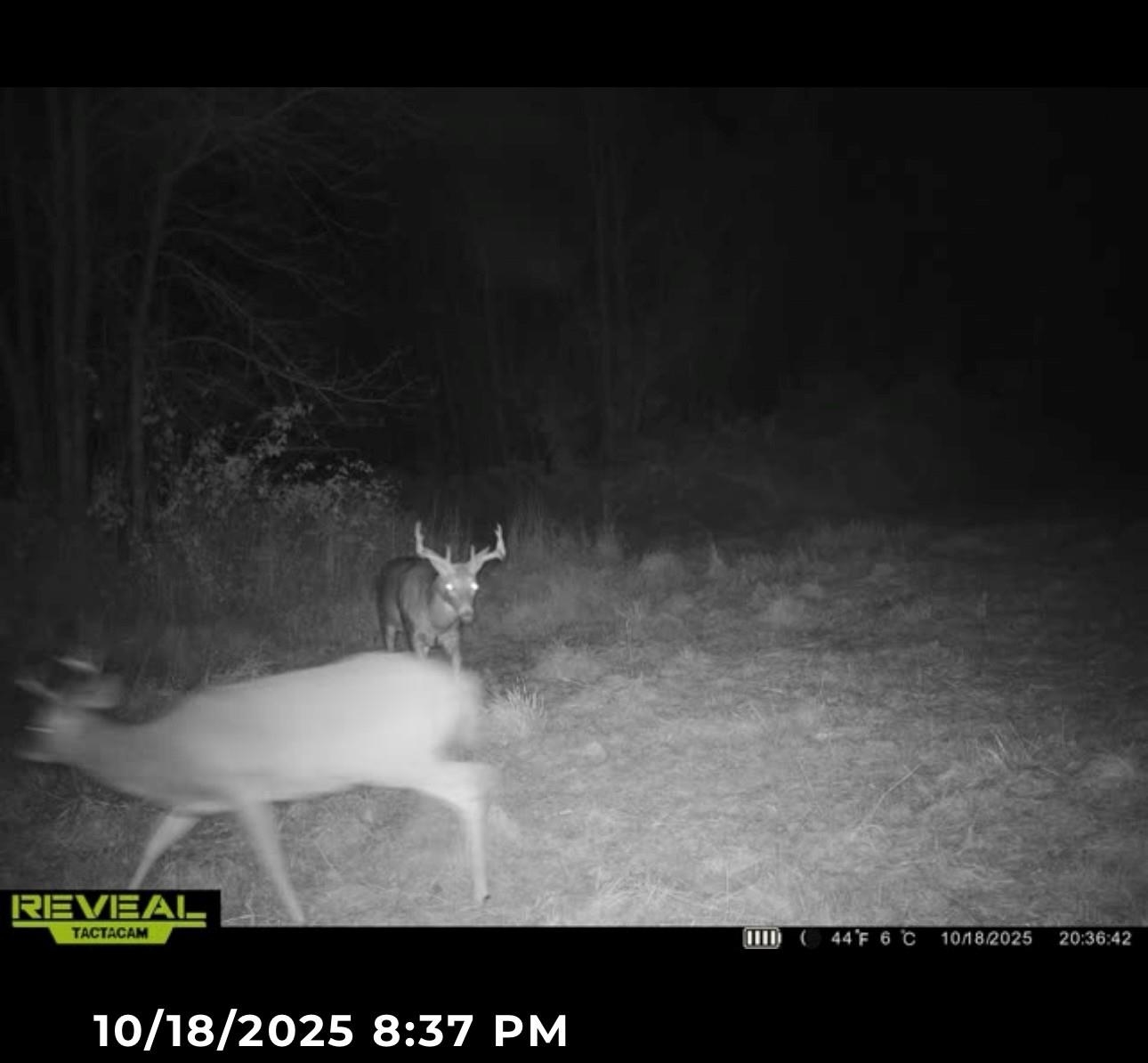 11013 W BURR OAK ROAD, Kennan, Wisconsin 54537, ,Land,For Sale,11013 W BURR OAK ROAD,22401503