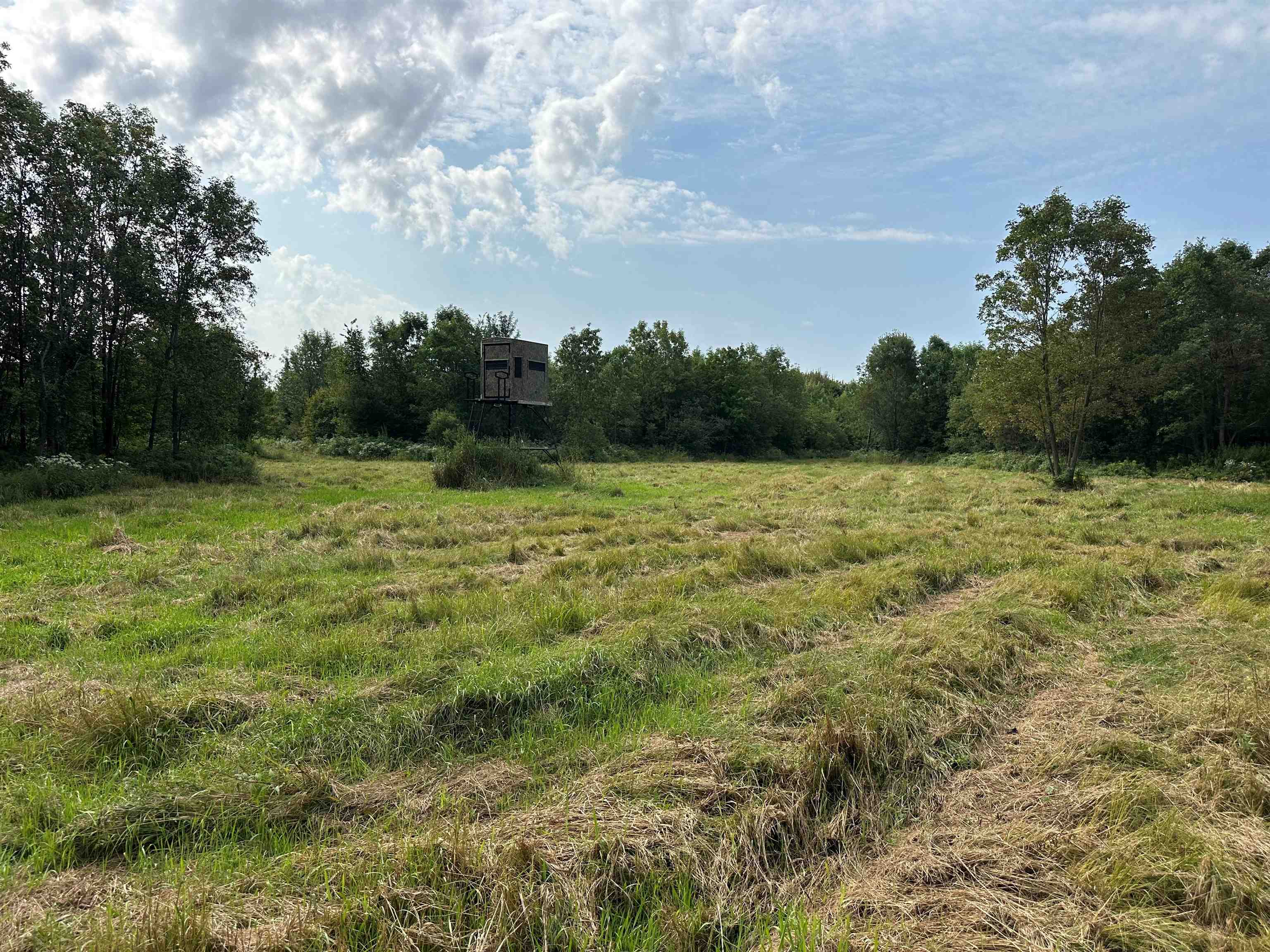 11013 W BURR OAK ROAD, Kennan, Wisconsin 54537, ,Land,For Sale,11013 W BURR OAK ROAD,22401503