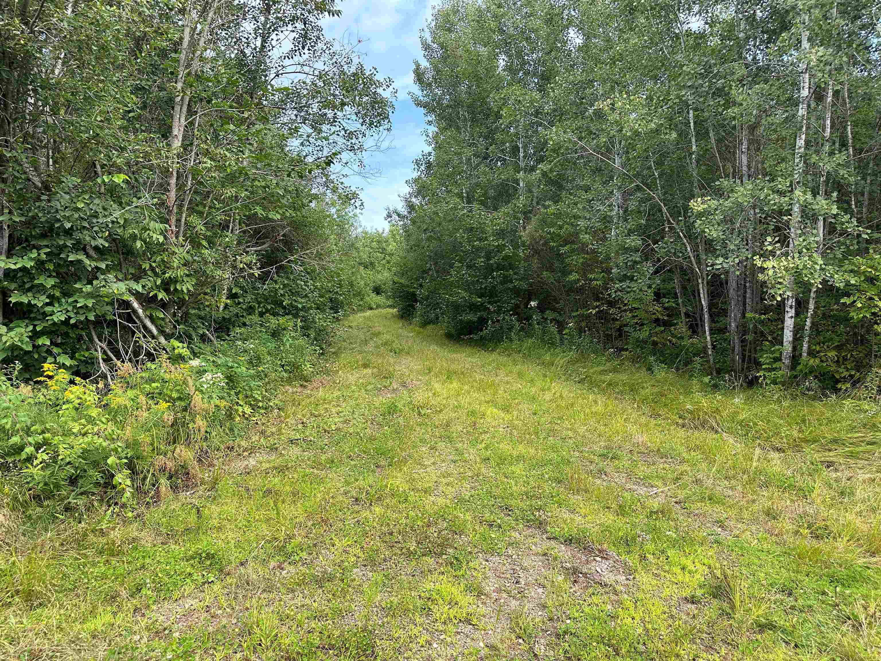 11013 W BURR OAK ROAD, Kennan, Wisconsin 54537, ,Land,For Sale,11013 W BURR OAK ROAD,22401503