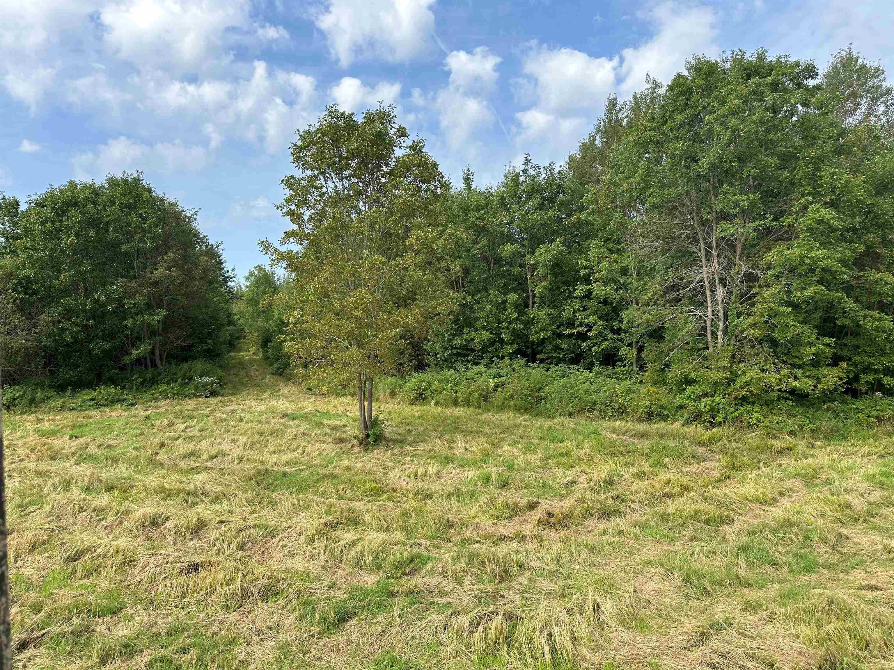 11013 W BURR OAK ROAD, Kennan, Wisconsin 54537, ,Land,For Sale,11013 W BURR OAK ROAD,22401503