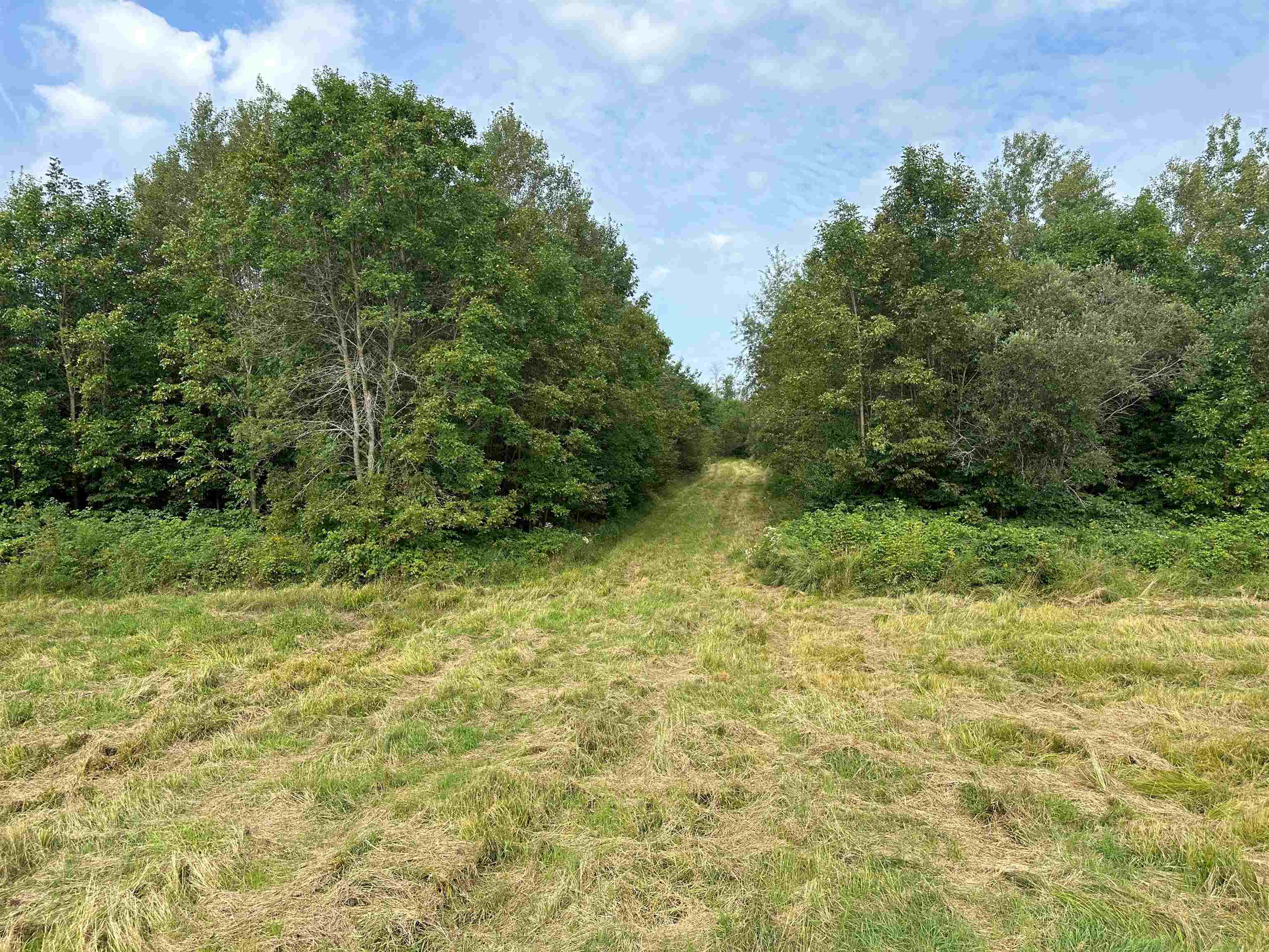 11013 W BURR OAK ROAD, Kennan, Wisconsin 54537, ,Land,For Sale,11013 W BURR OAK ROAD,22401503