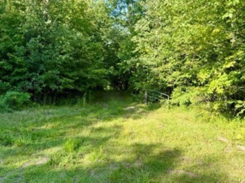 11013 W BURR OAK ROAD, Kennan, Wisconsin 54537, ,Land,For Sale,11013 W BURR OAK ROAD,22401503