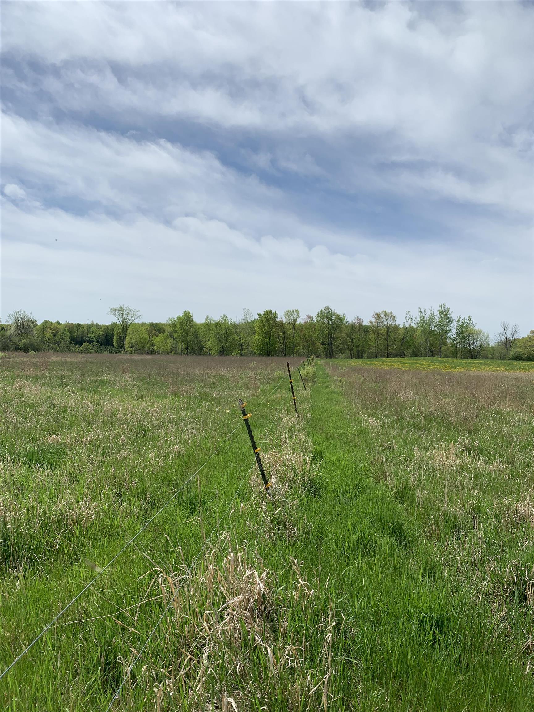STADIUM ROAD, Brantwood, Wisconsin 54513, ,Land,For Sale,STADIUM ROAD,22401553
