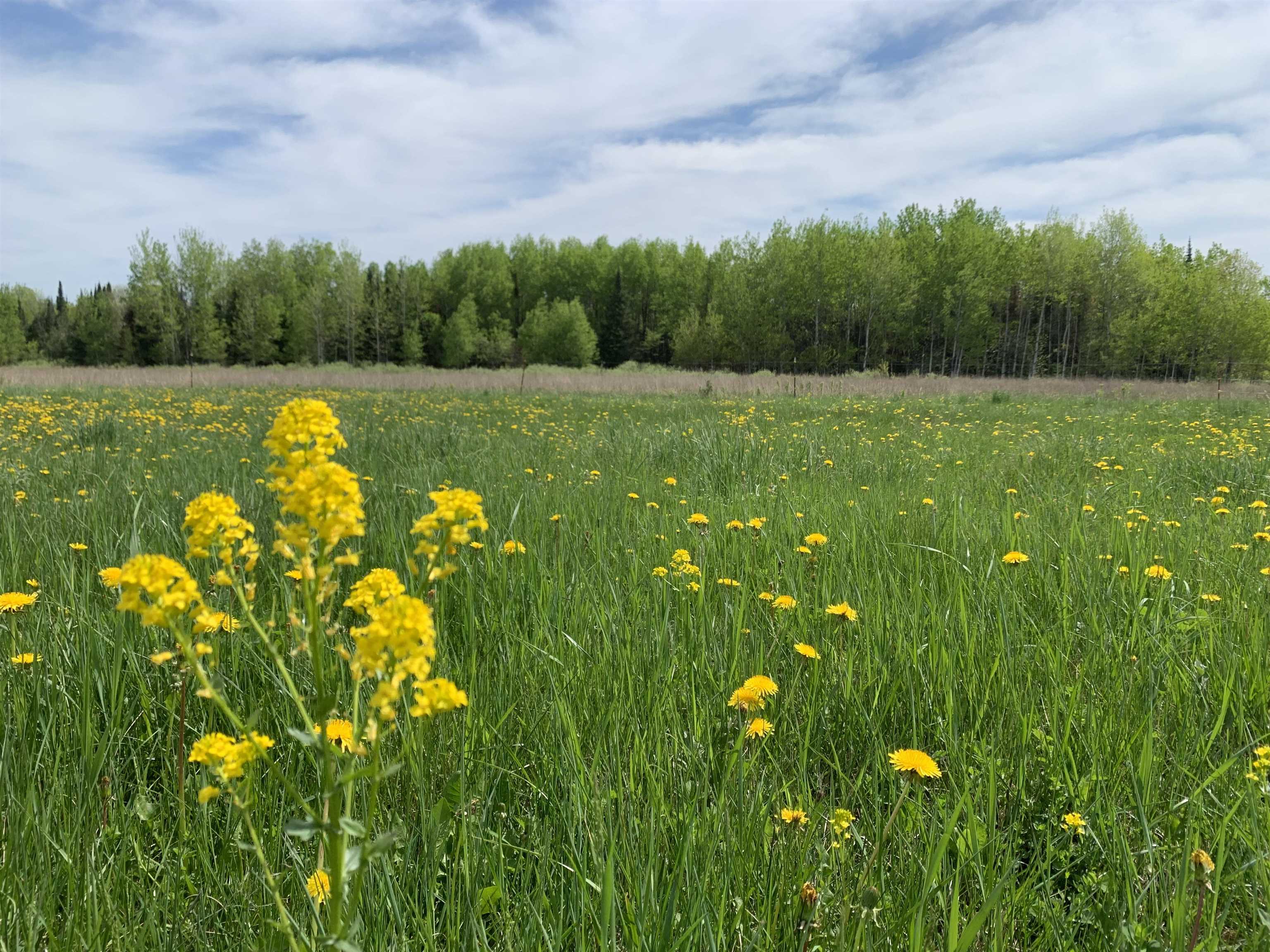STADIUM ROAD, Brantwood, Wisconsin 54513, ,Land,For Sale,STADIUM ROAD,22401553