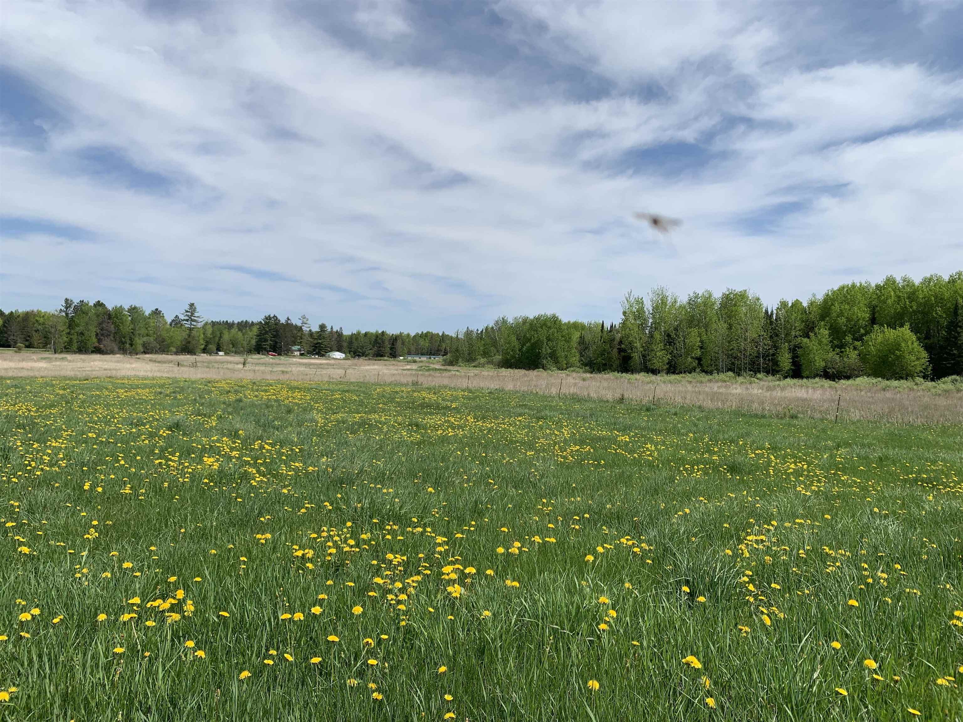 STADIUM ROAD, Brantwood, Wisconsin 54513, ,Land,For Sale,STADIUM ROAD,22401553