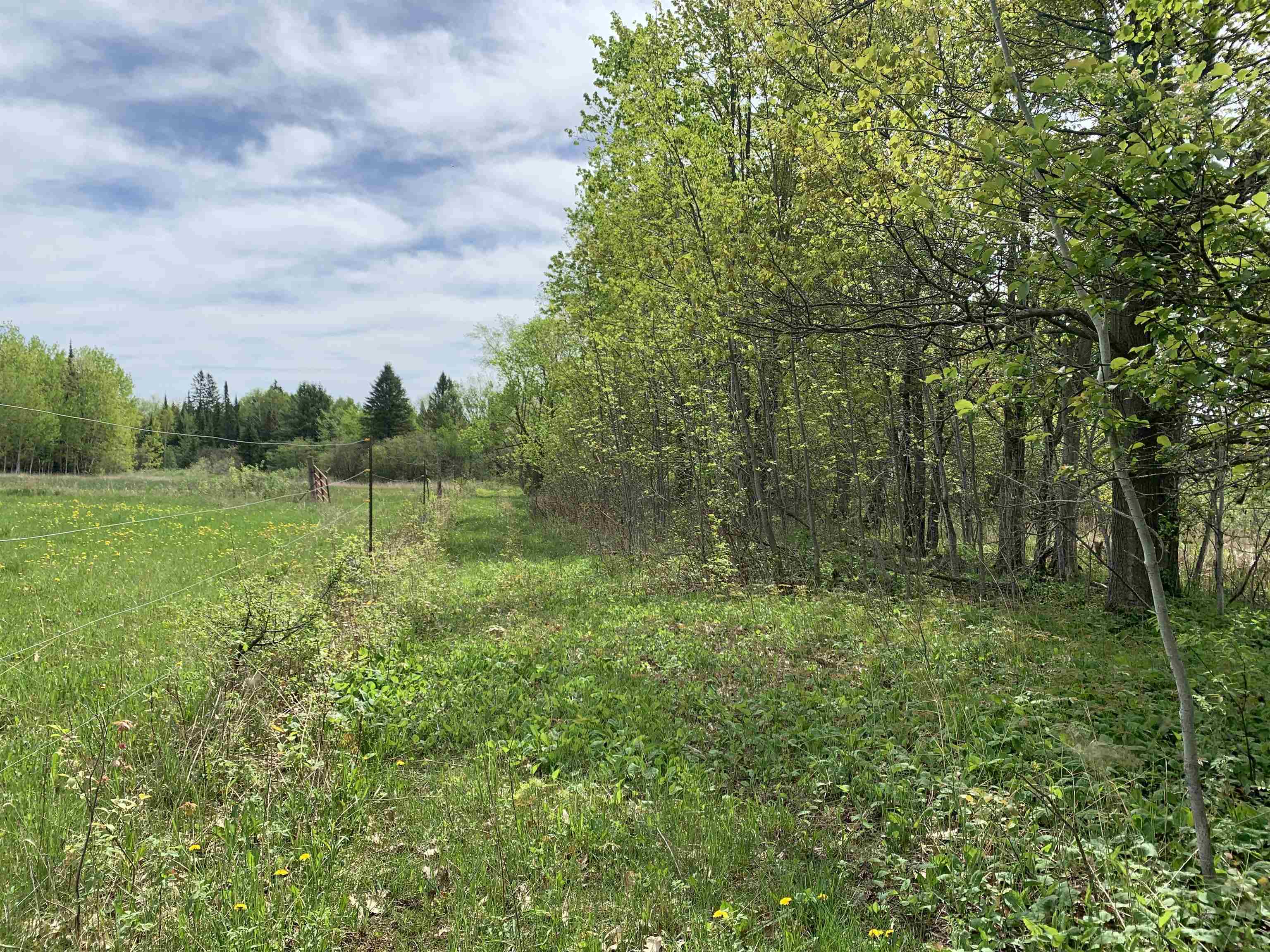 STADIUM ROAD, Brantwood, Wisconsin 54513, ,Land,For Sale,STADIUM ROAD,22401553