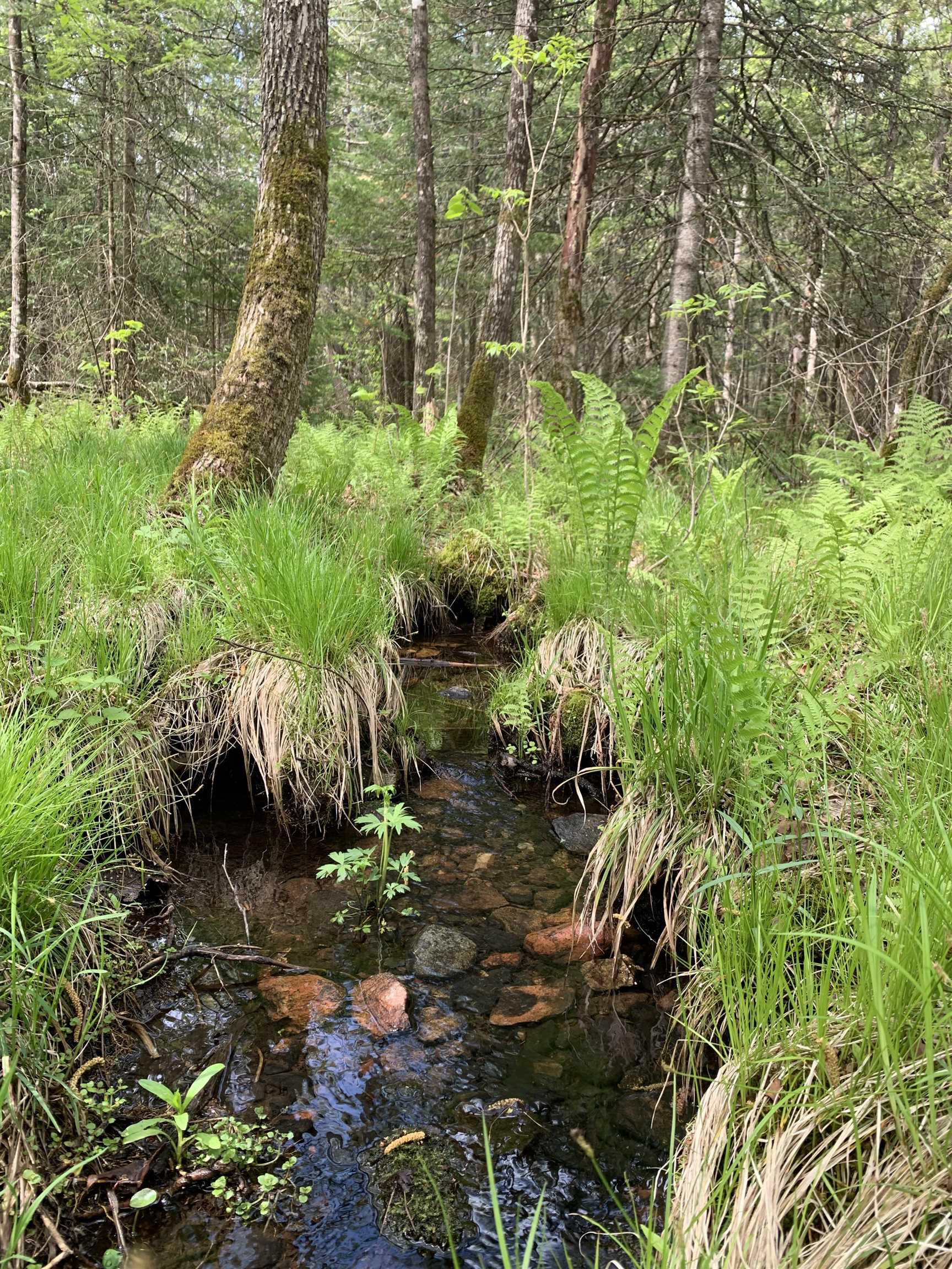 STADIUM ROAD, Brantwood, Wisconsin 54513, ,Land,For Sale,STADIUM ROAD,22401553