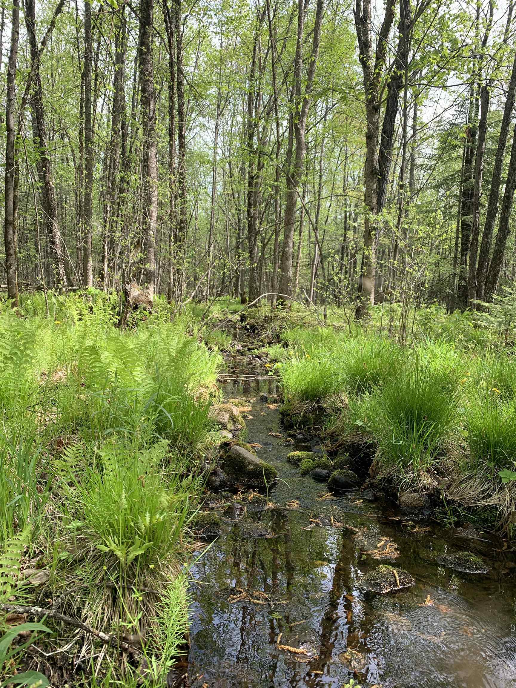 STADIUM ROAD, Brantwood, Wisconsin 54513, ,Land,For Sale,STADIUM ROAD,22401553