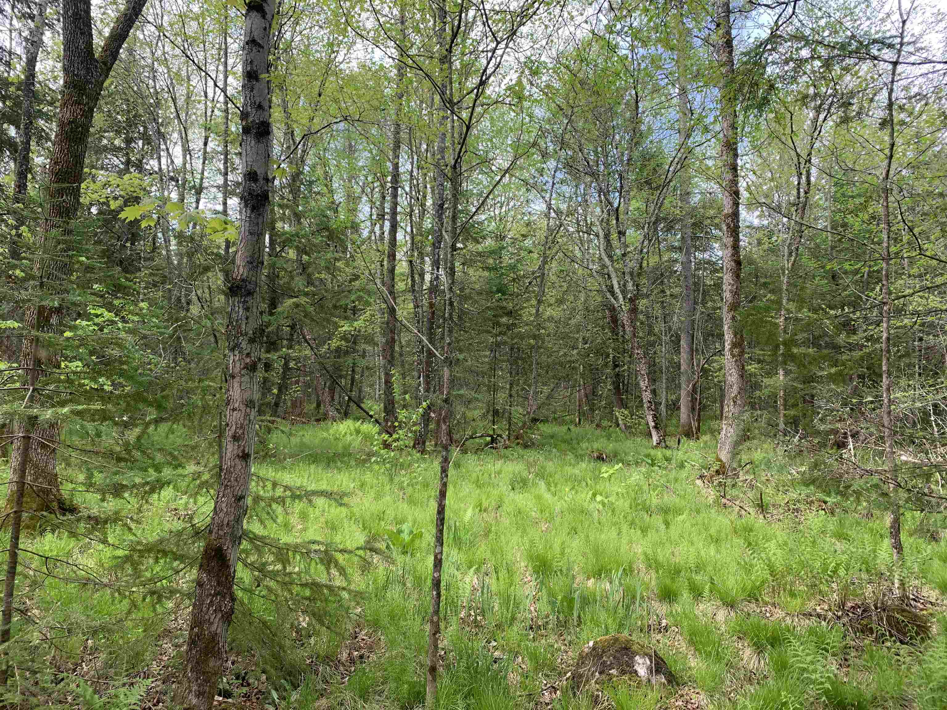 STADIUM ROAD, Brantwood, Wisconsin 54513, ,Land,For Sale,STADIUM ROAD,22401553