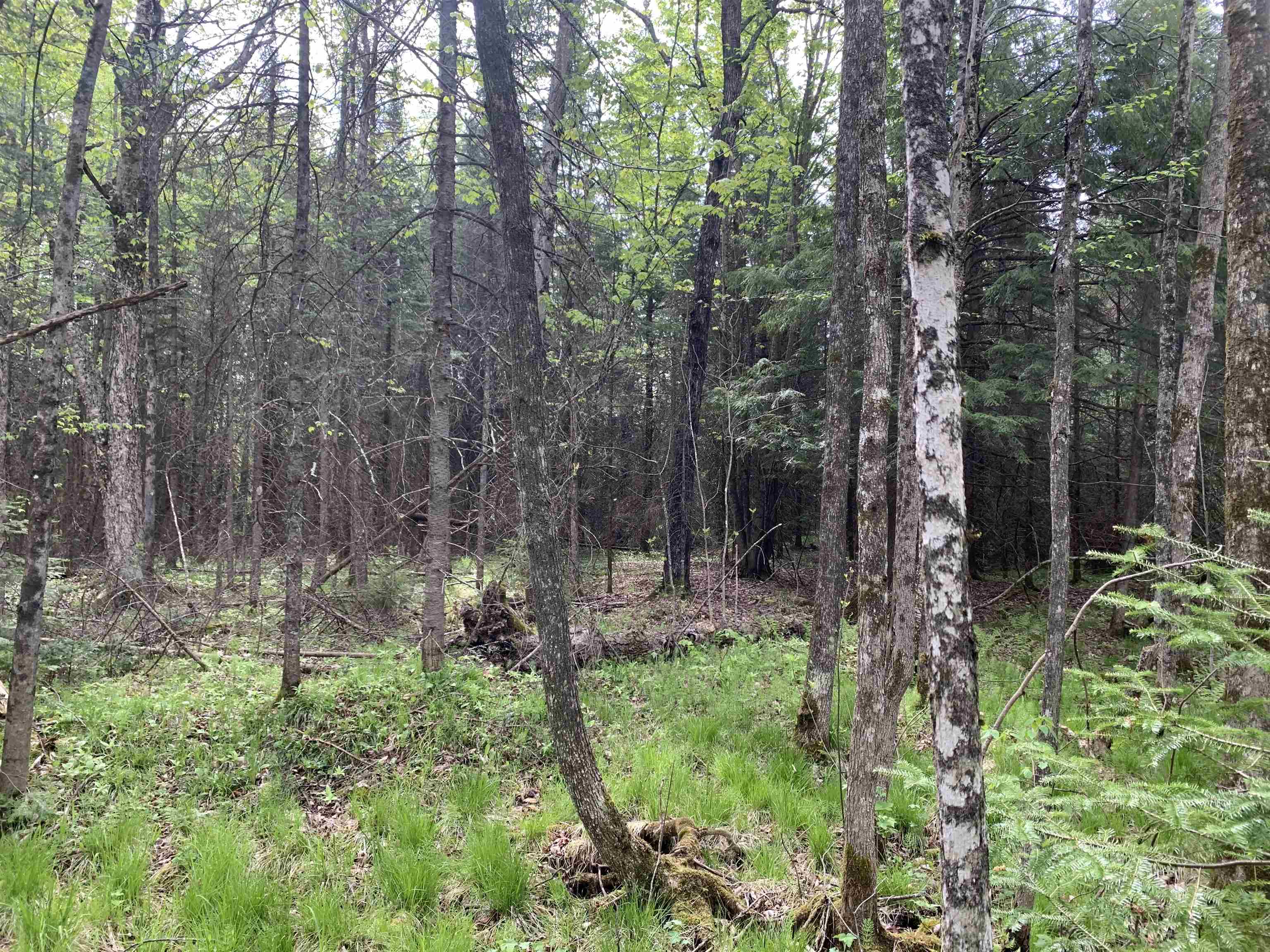 STADIUM ROAD, Brantwood, Wisconsin 54513, ,Land,For Sale,STADIUM ROAD,22401553