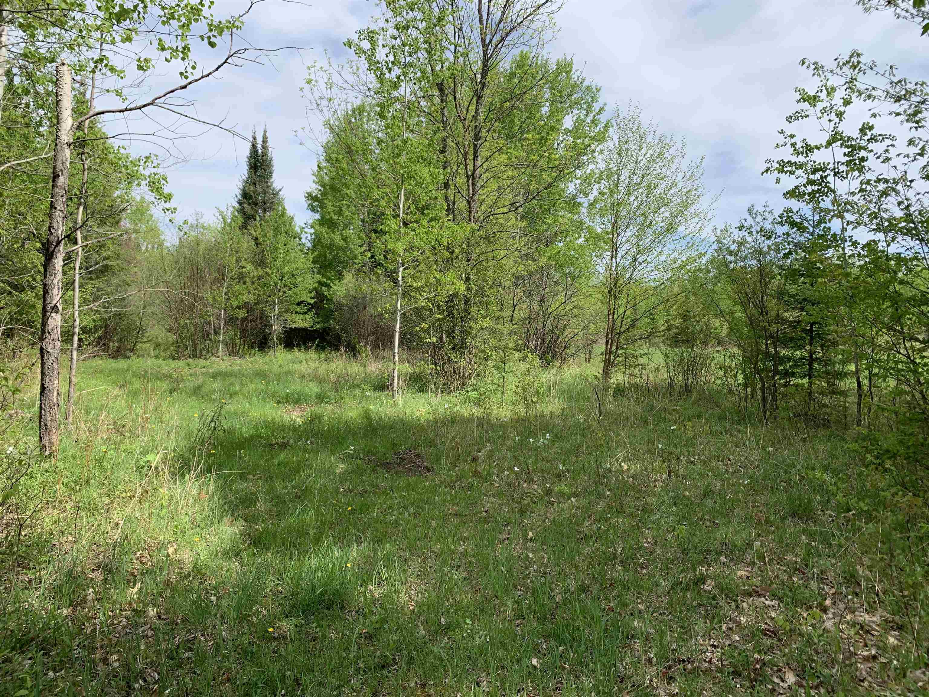 STADIUM ROAD, Brantwood, Wisconsin 54513, ,Land,For Sale,STADIUM ROAD,22401553