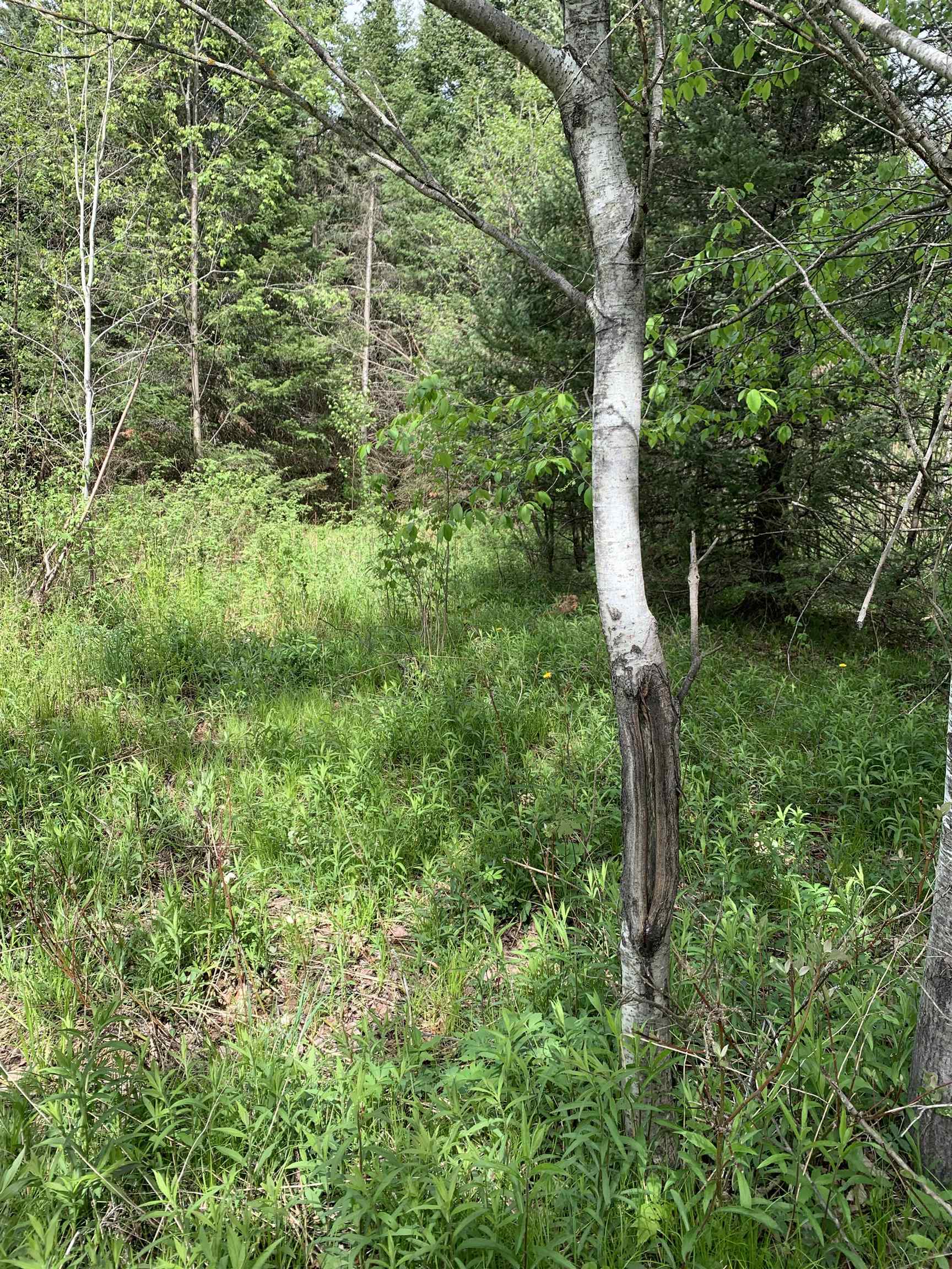 STADIUM ROAD, Brantwood, Wisconsin 54513, ,Land,For Sale,STADIUM ROAD,22401553