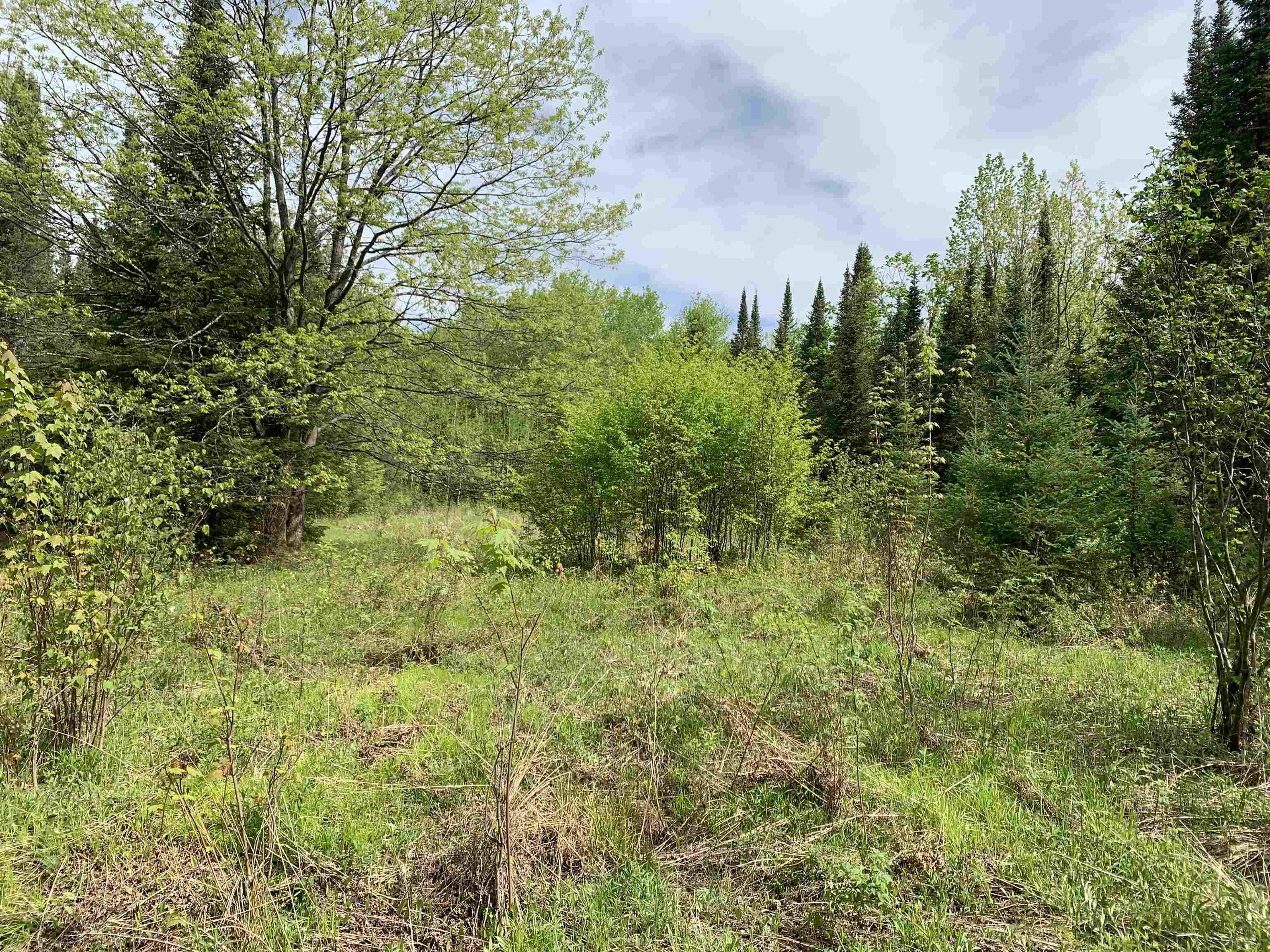 STADIUM ROAD, Brantwood, Wisconsin 54513, ,Land,For Sale,STADIUM ROAD,22401553