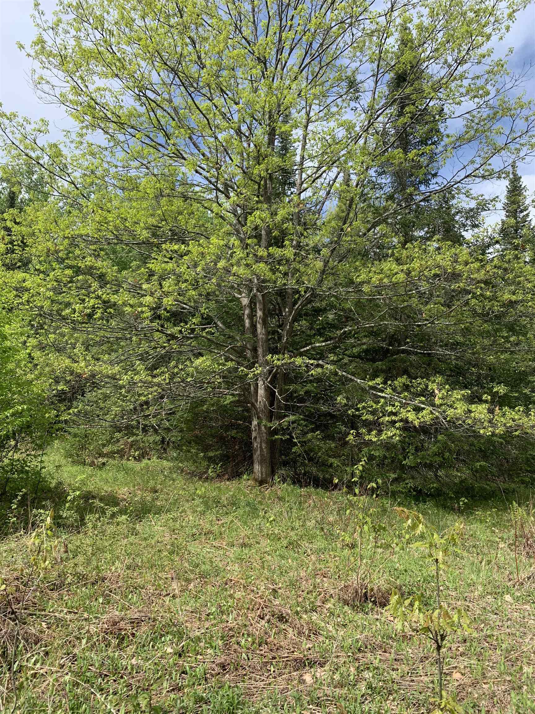 STADIUM ROAD, Brantwood, Wisconsin 54513, ,Land,For Sale,STADIUM ROAD,22401553