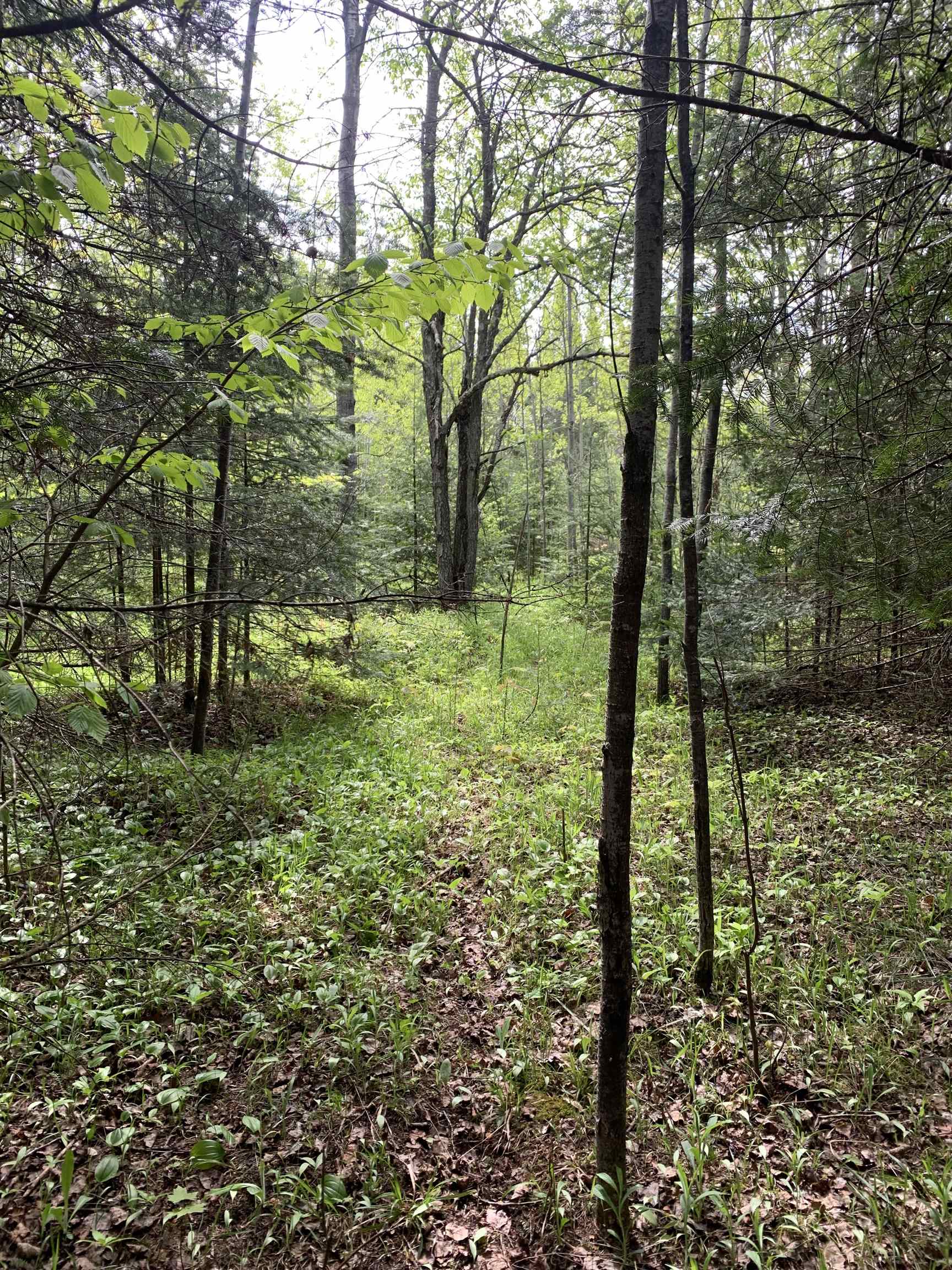 STADIUM ROAD, Brantwood, Wisconsin 54513, ,Land,For Sale,STADIUM ROAD,22401553