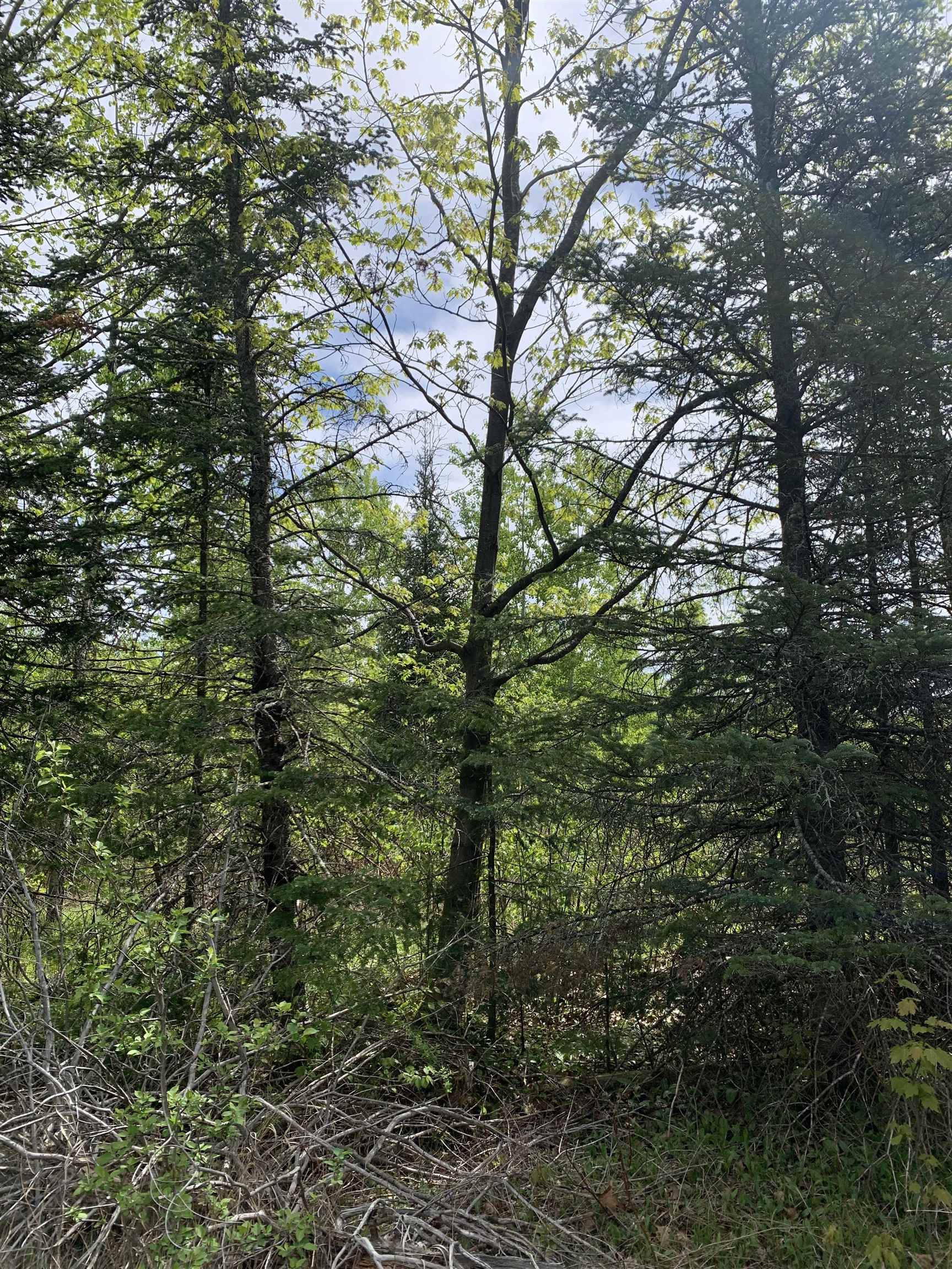 STADIUM ROAD, Brantwood, Wisconsin 54513, ,Land,For Sale,STADIUM ROAD,22401553