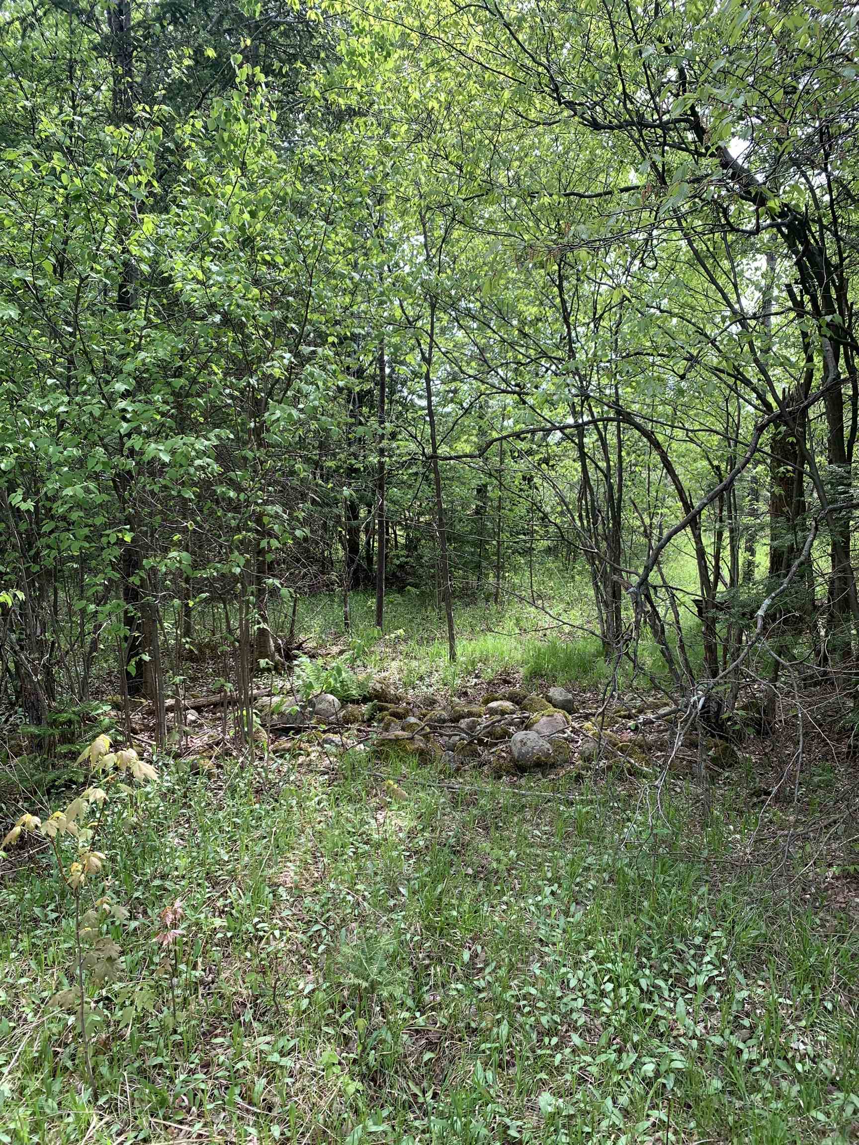 STADIUM ROAD, Brantwood, Wisconsin 54513, ,Land,For Sale,STADIUM ROAD,22401553