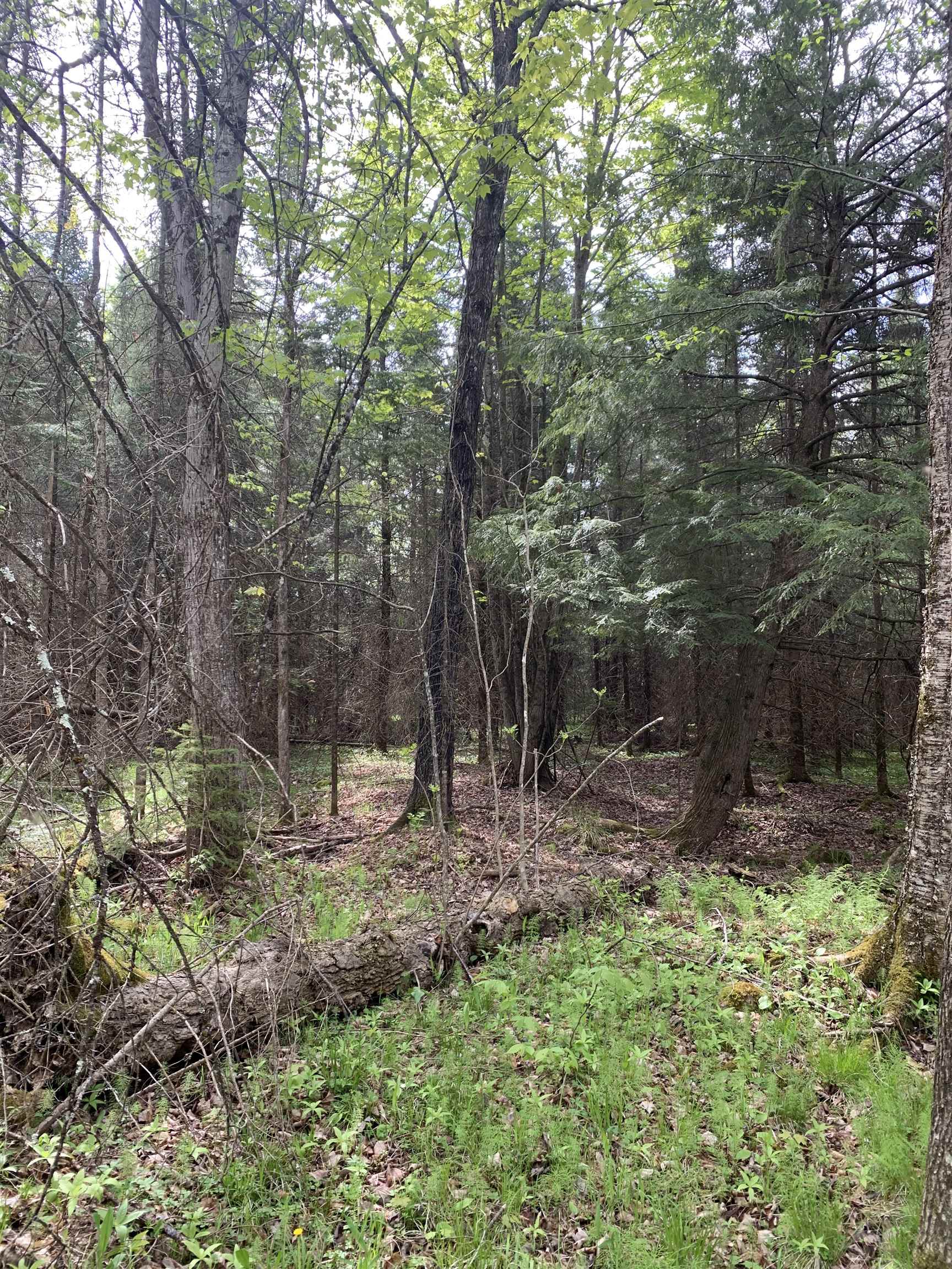 STADIUM ROAD, Brantwood, Wisconsin 54513, ,Land,For Sale,STADIUM ROAD,22401553