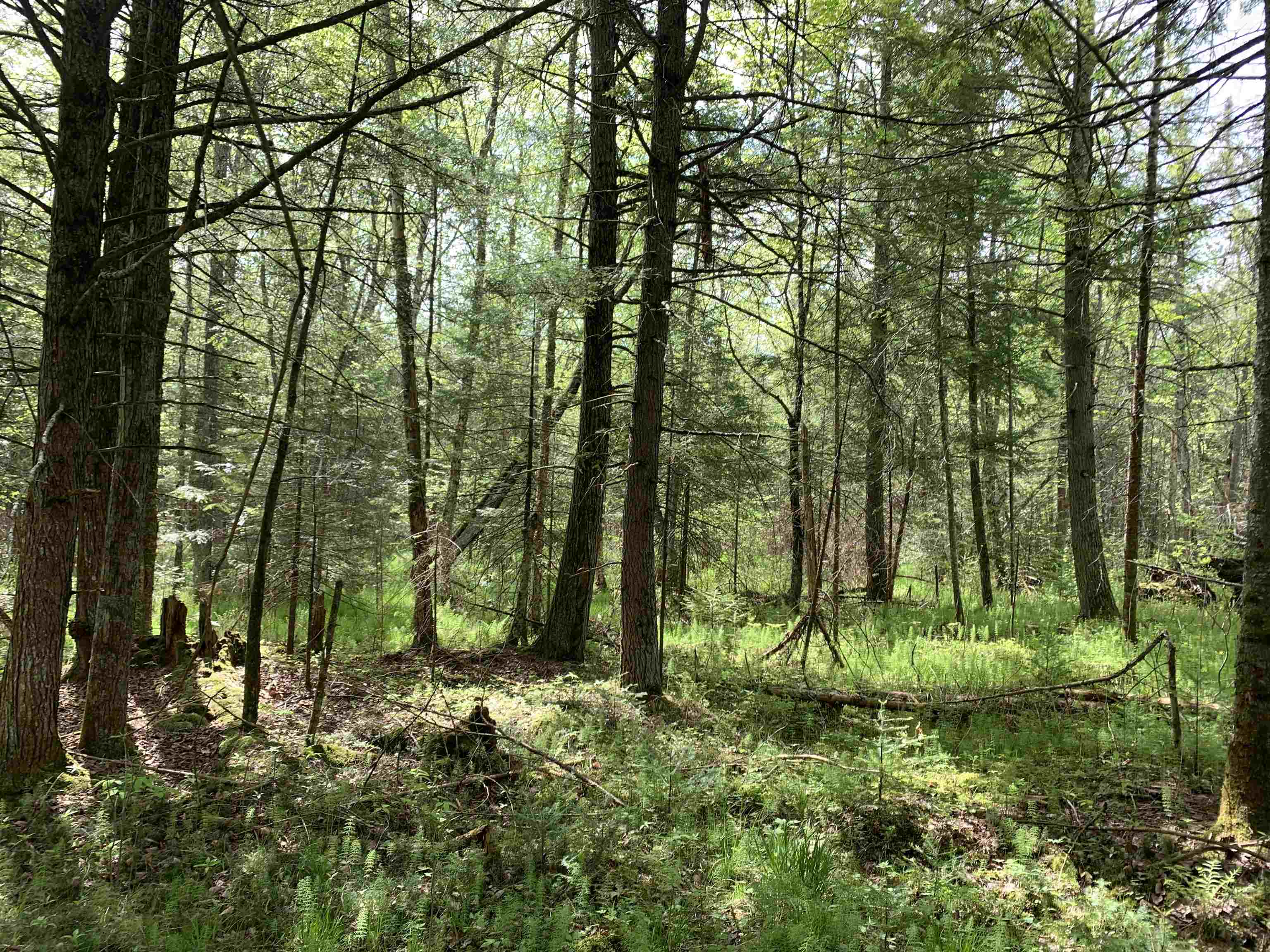 STADIUM ROAD, Brantwood, Wisconsin 54513, ,Land,For Sale,STADIUM ROAD,22401553