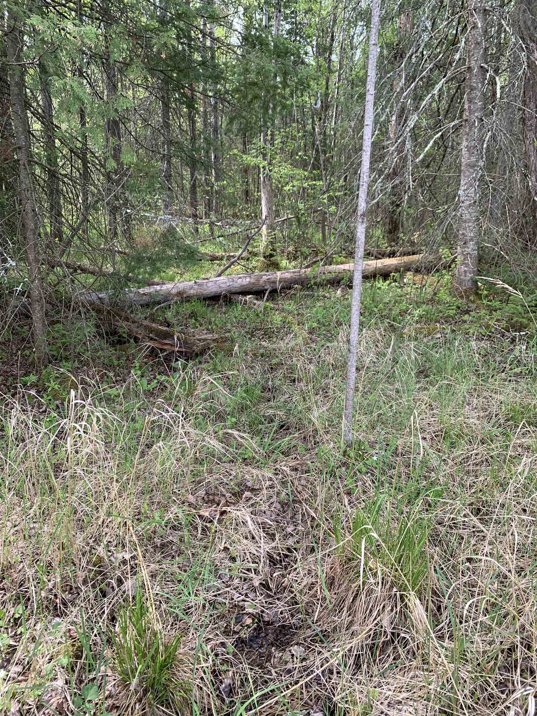 STADIUM ROAD, Brantwood, Wisconsin 54513, ,Land,For Sale,STADIUM ROAD,22401553