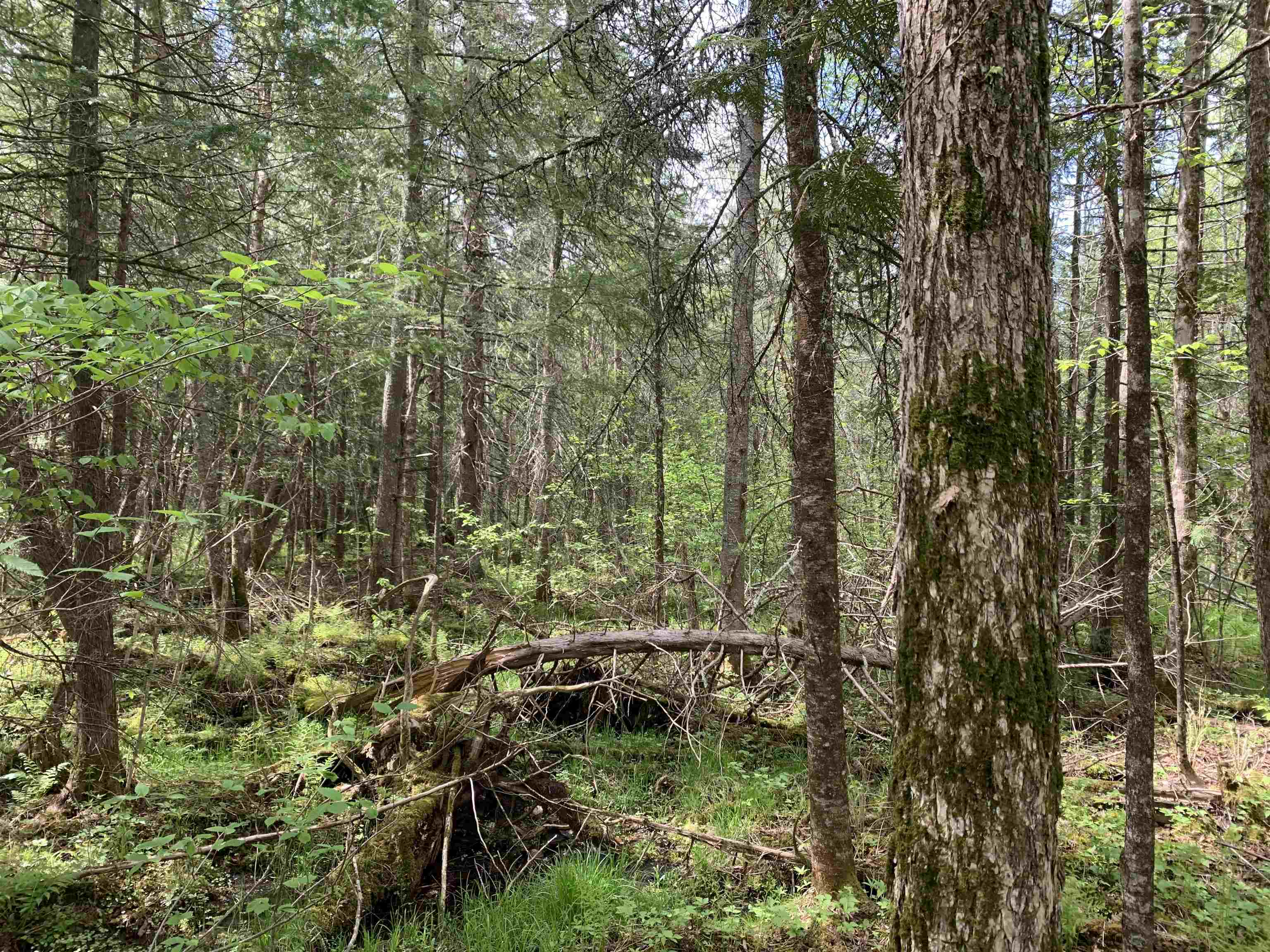 STADIUM ROAD, Brantwood, Wisconsin 54513, ,Land,For Sale,STADIUM ROAD,22401553