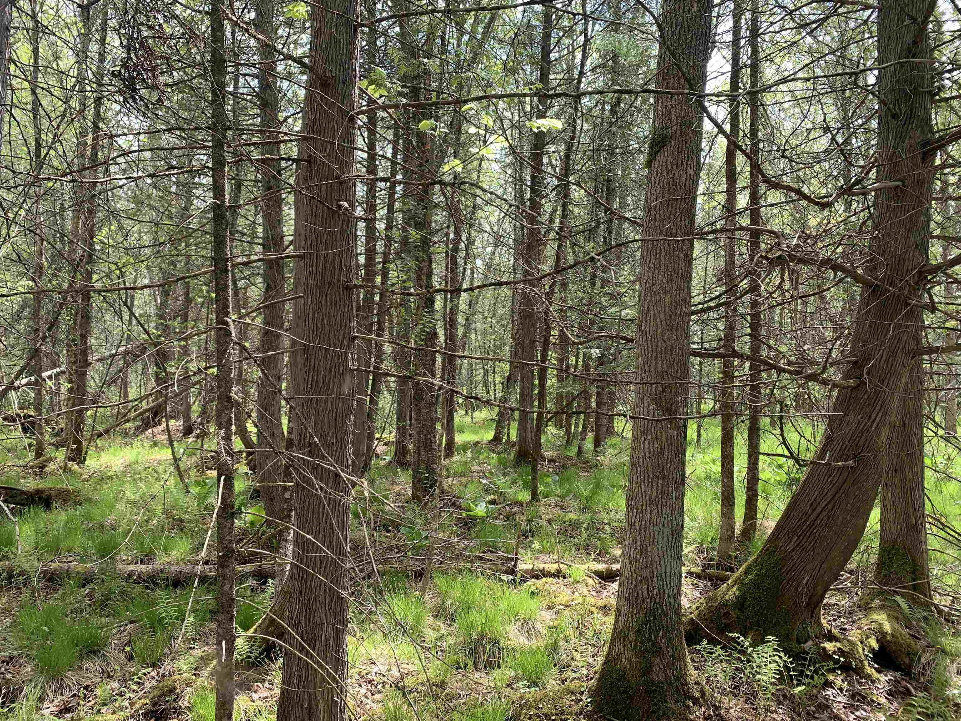 STADIUM ROAD, Brantwood, Wisconsin 54513, ,Land,For Sale,STADIUM ROAD,22401553