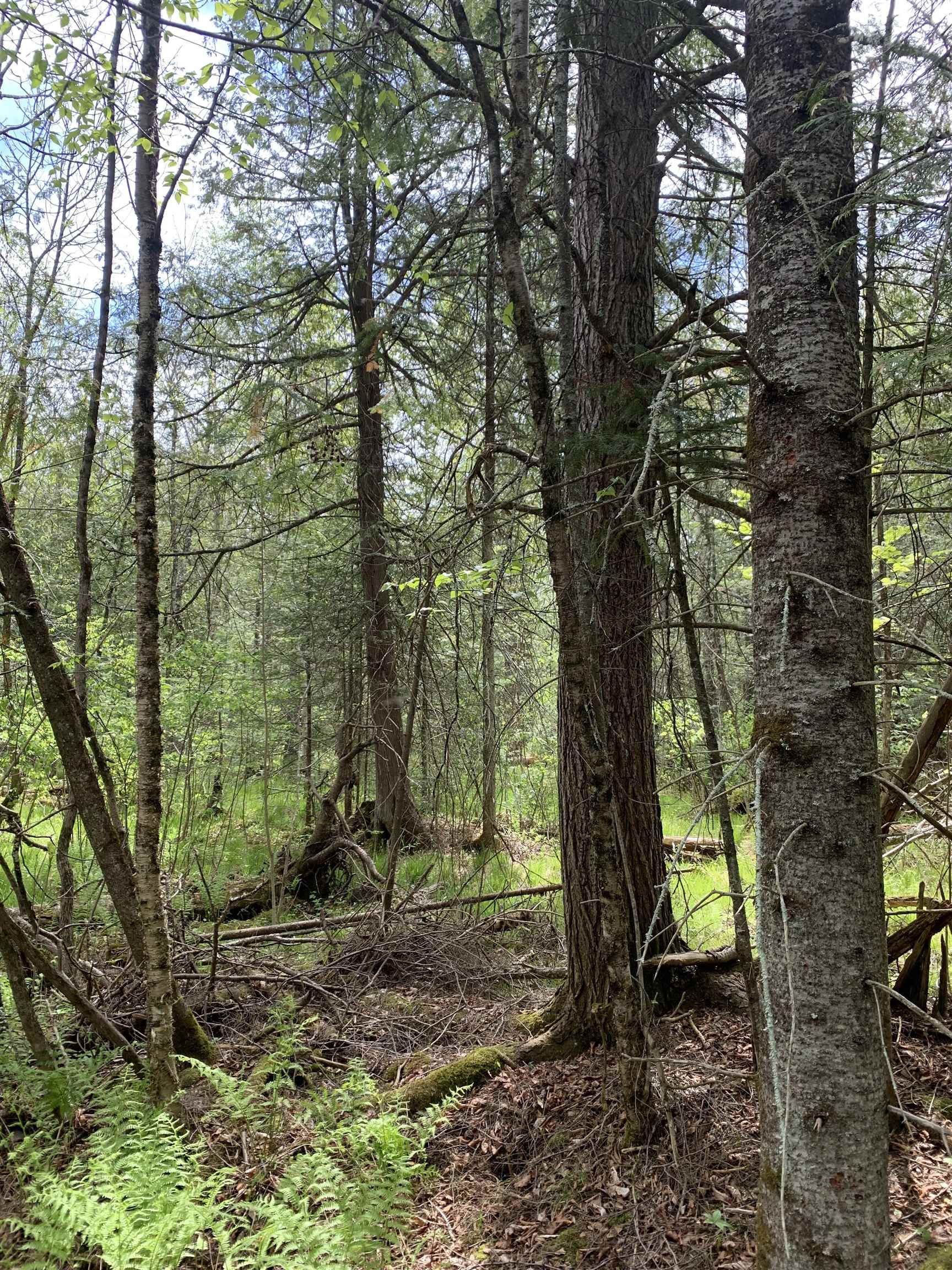 STADIUM ROAD, Brantwood, Wisconsin 54513, ,Land,For Sale,STADIUM ROAD,22401553