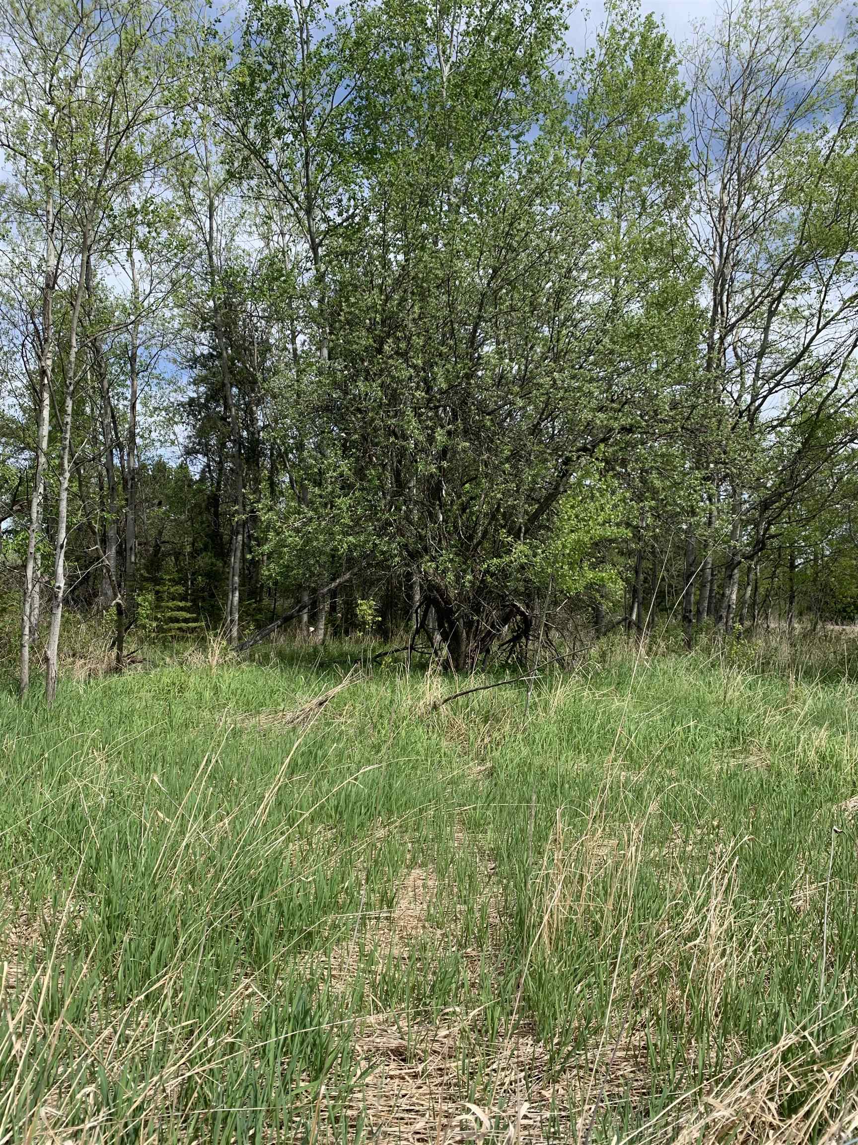 STADIUM ROAD, Brantwood, Wisconsin 54513, ,Land,For Sale,STADIUM ROAD,22401553
